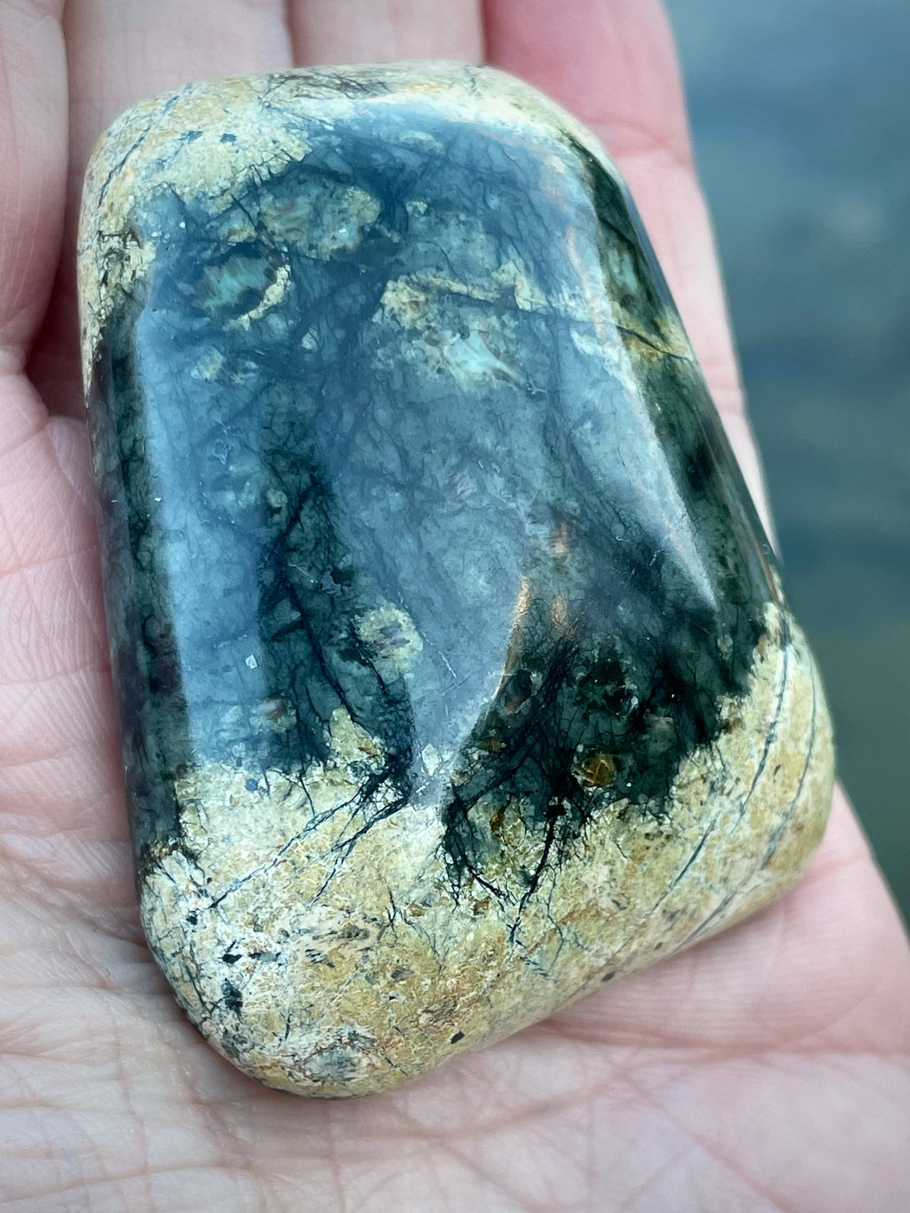 🌲 Polished Vermont Greenstone — Deep Forest Gold Vein (Hand-Collected & Finished)