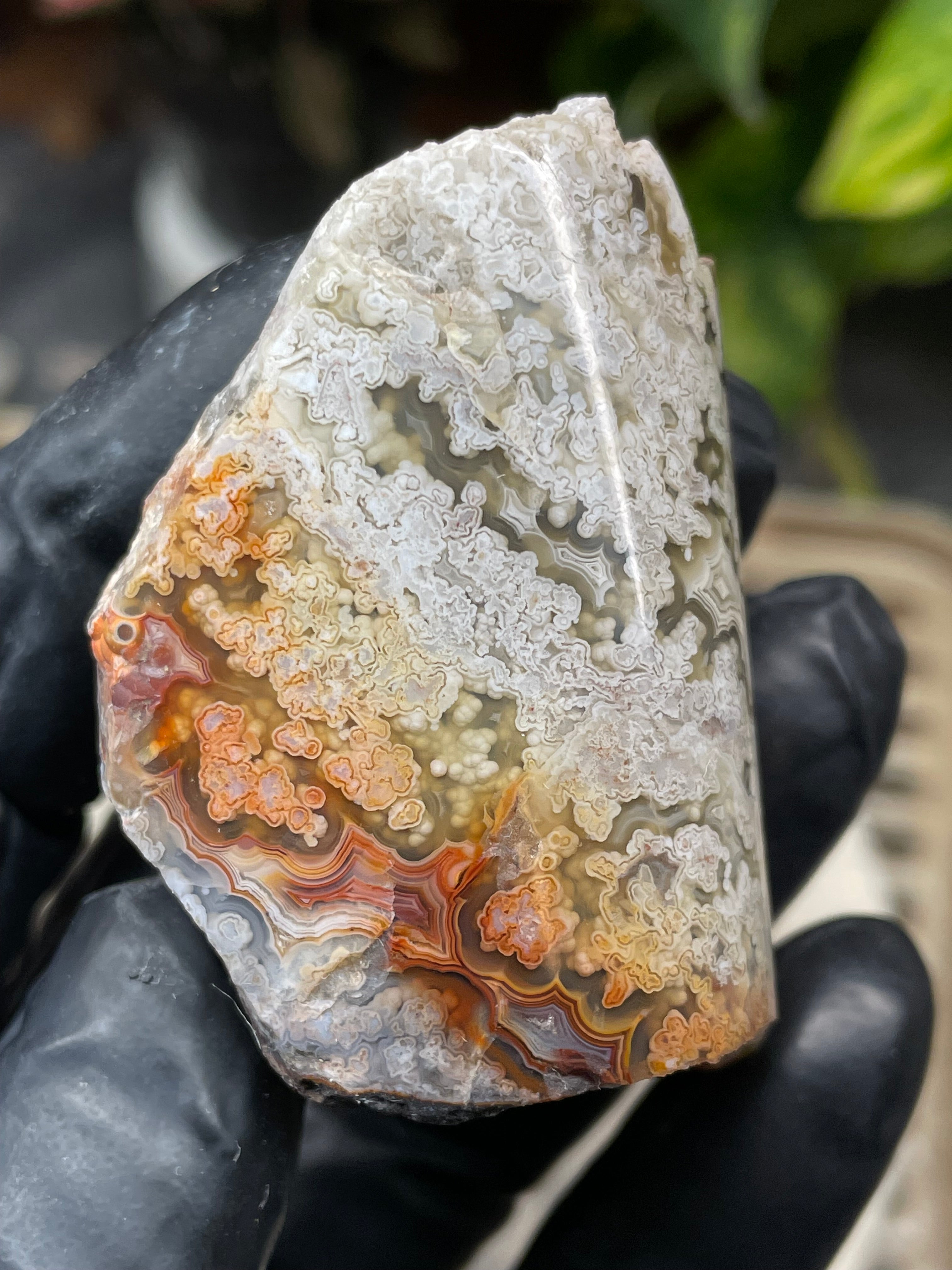 StoneBorn Creations Hand-Polished Lace Agate with Intricate White Plume Banding, Earth Tones & Natural Freeform Finish