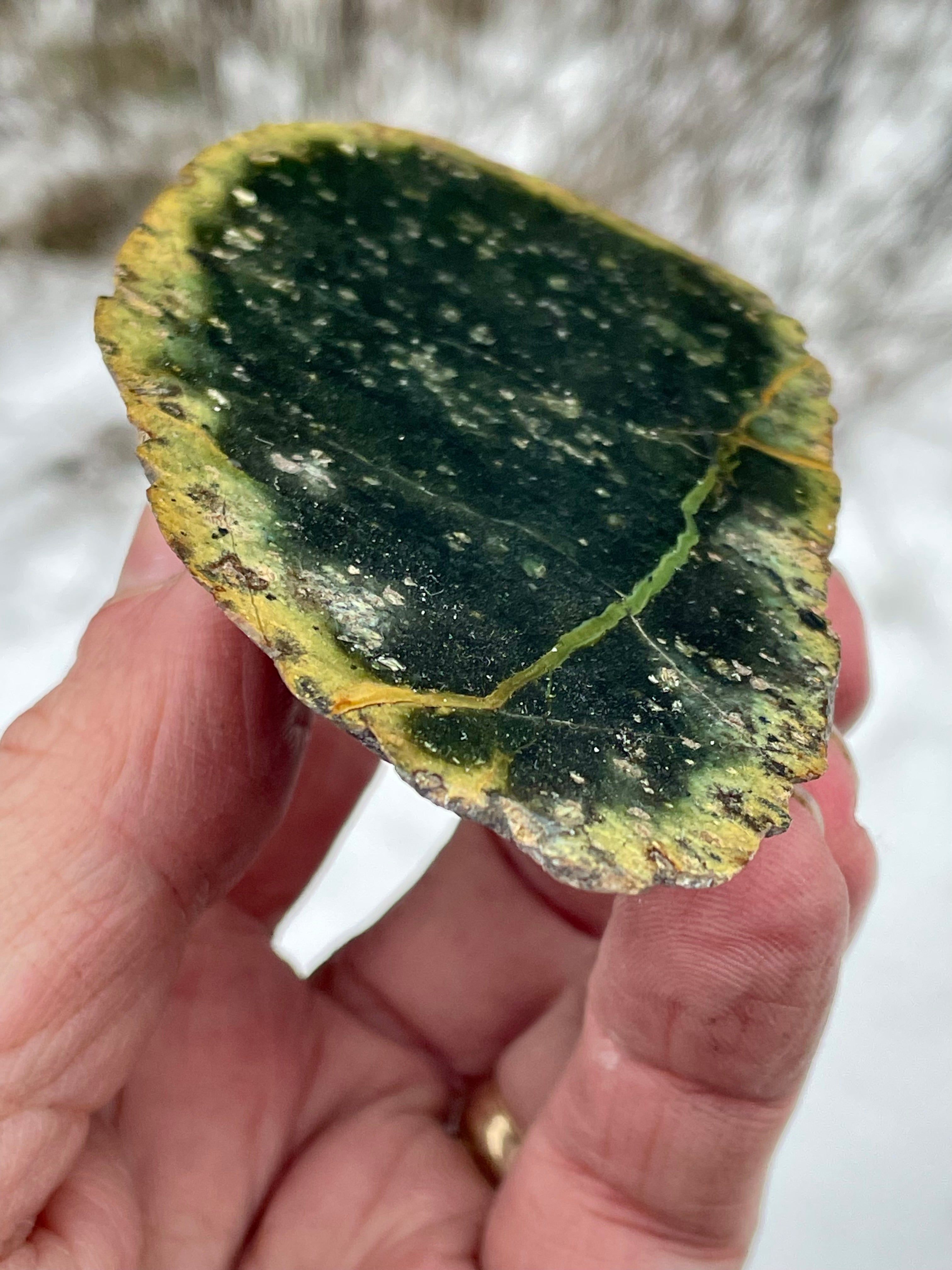 🌲 Polished Vermont Serpentine Stone – Dark Veined Freeform Slice (Hand-Collected & Polished)