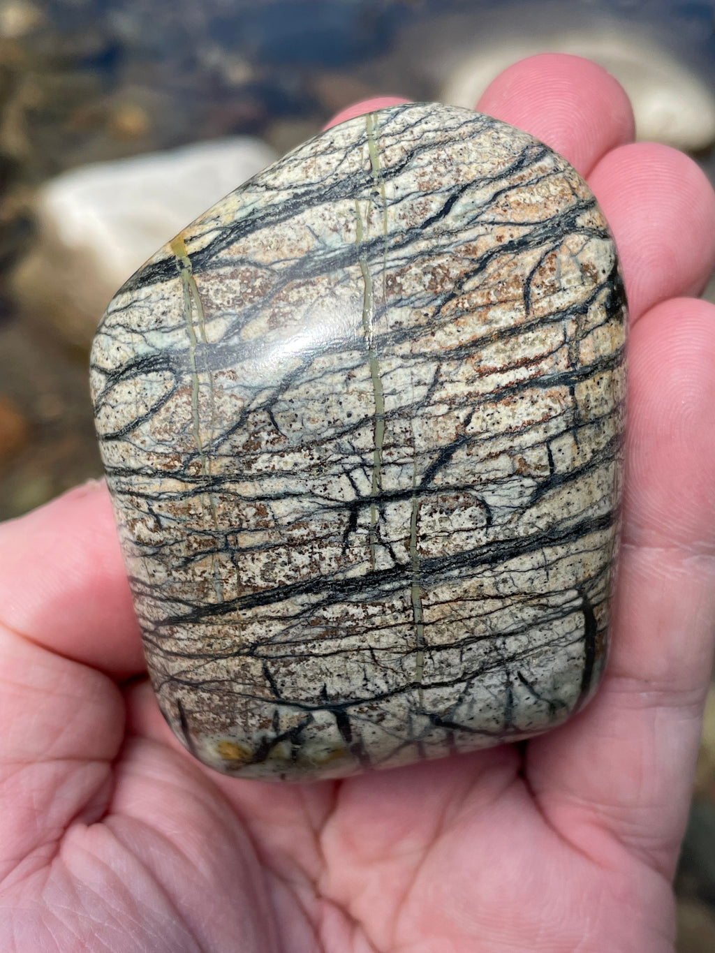 StoneBorn Creations Hand-Polished River Stone Freeform with Natural Black Webbing Patterns and Earthy Veining