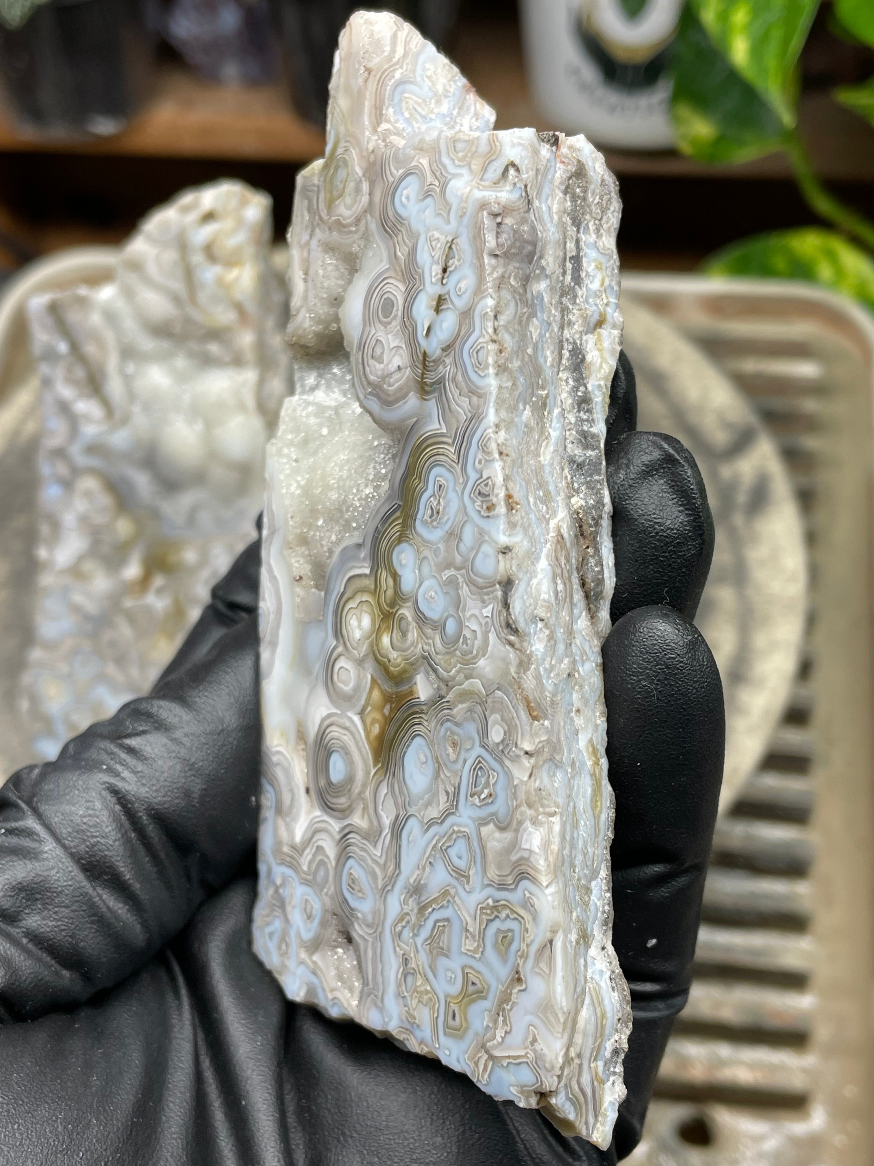 StoneBorn Creations Hand-Polished Lace Agate Pair – River Cut Matching Display Halves with Druzy Crystal Pockets & Intricate Natural Banding
