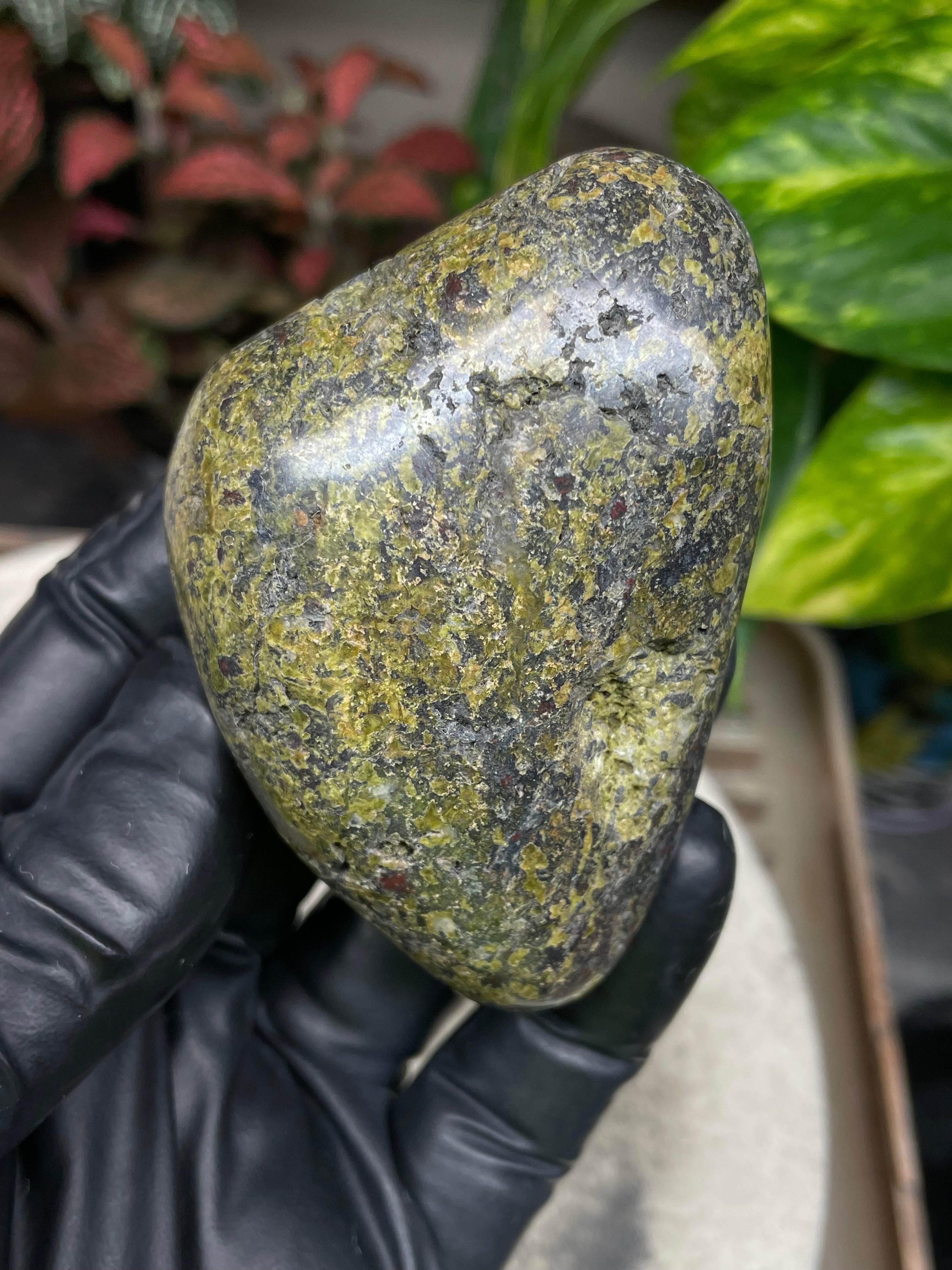 StoneBorn Creations Hand-Polished Vermont Serpentine with Garnet Flecking, Quartz Pockets, and Deep Olive Green Matrix Freeform Finish