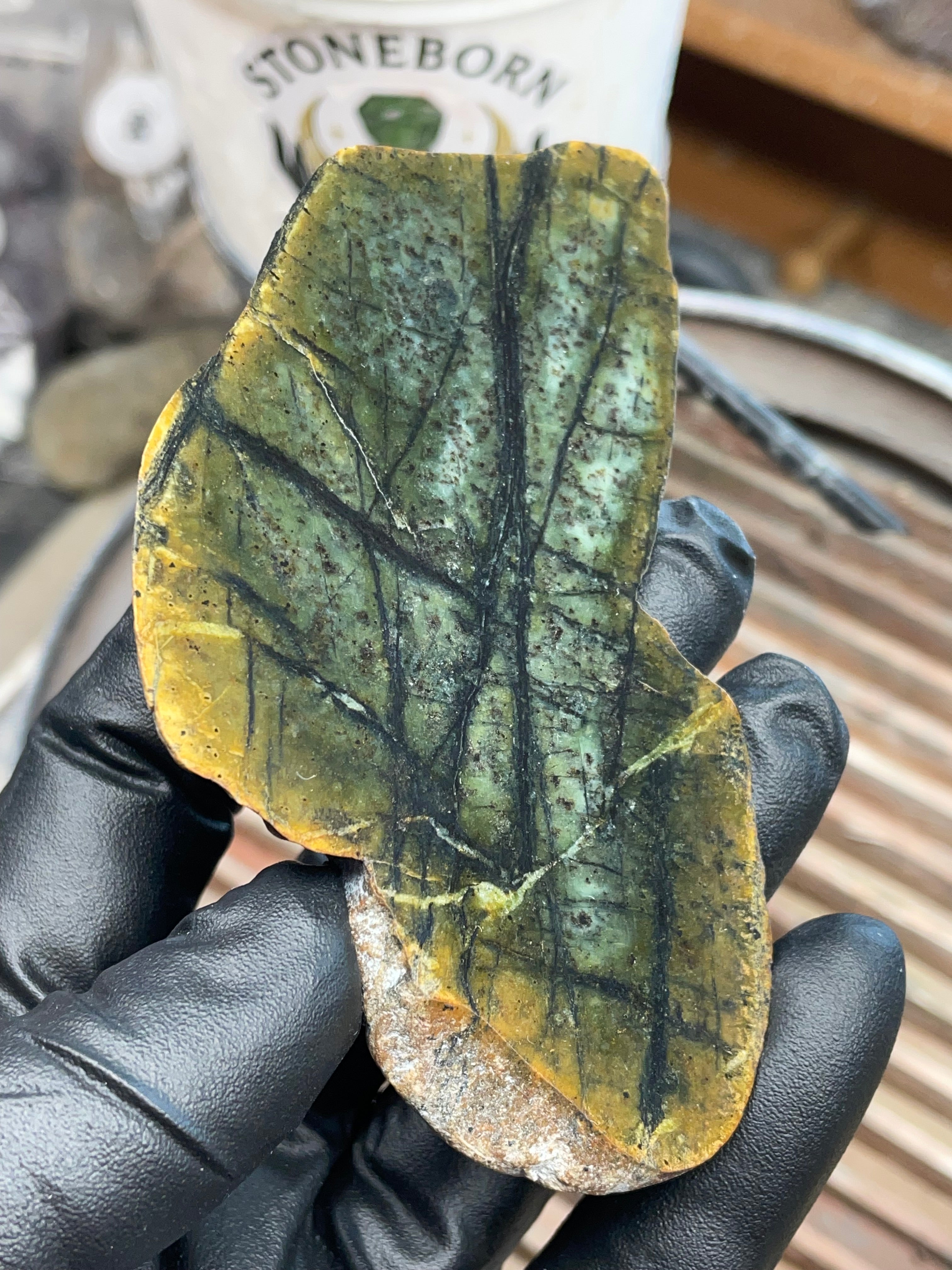 Hand-Collected Veined Serpentine Slab | Raw & Refined StoneBorn Specimen