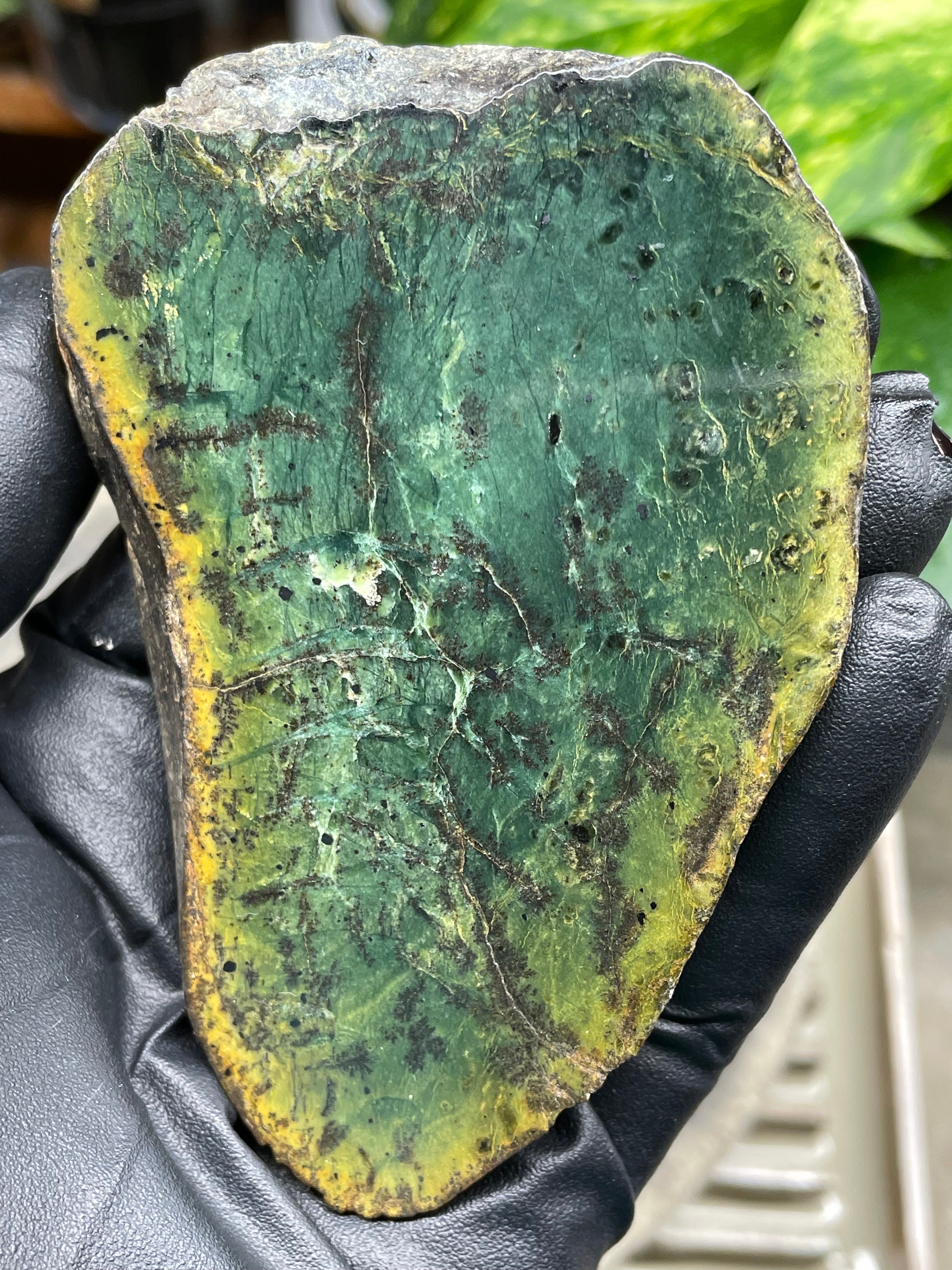 StoneBorn Creations Hand-Polished Vermont Greenstone Pair – Deep Emerald Interior Freeform Halves with Natural Earthy Matrix