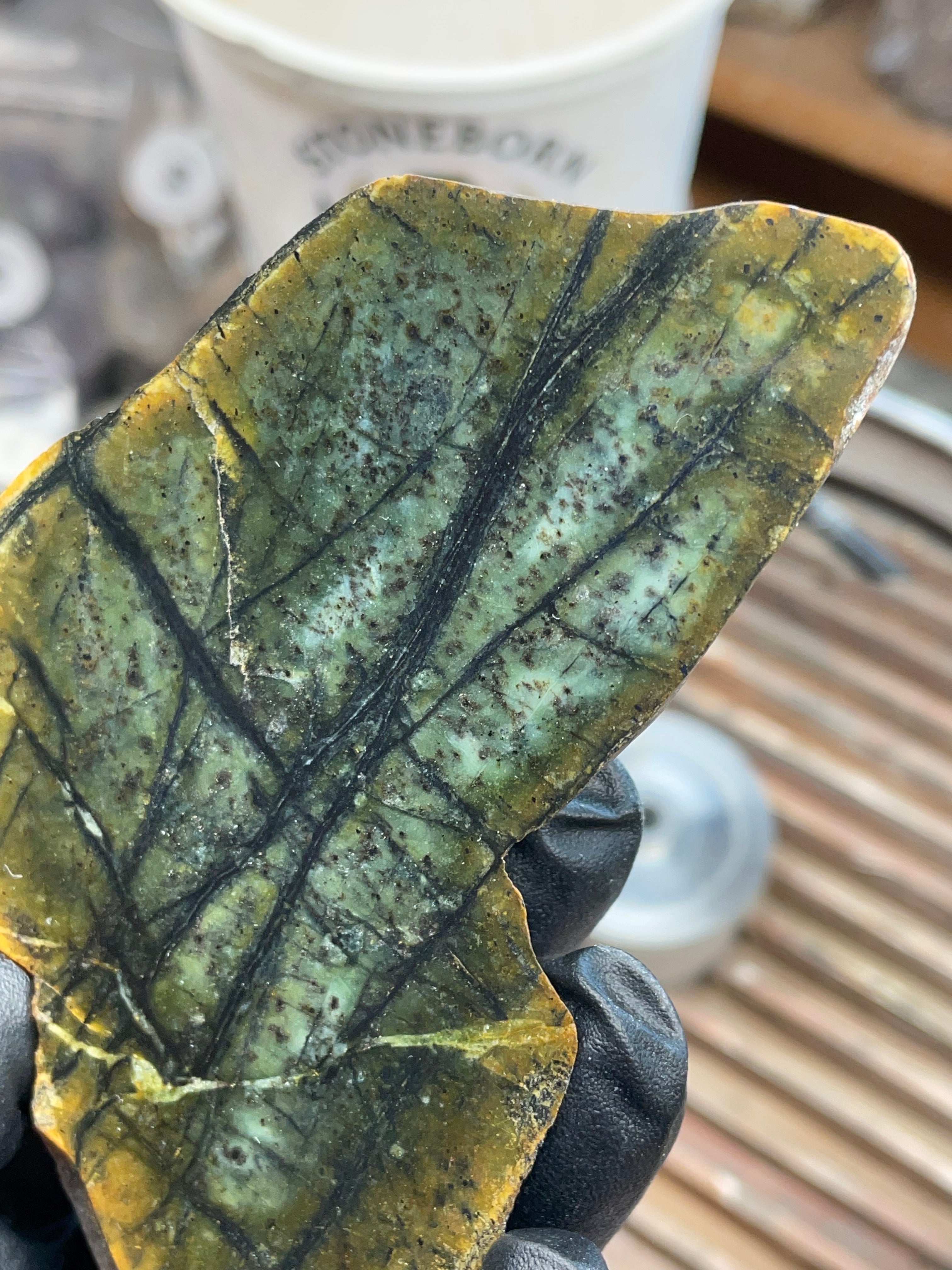 Hand-Collected Veined Serpentine Slab | Raw & Refined StoneBorn Specimen