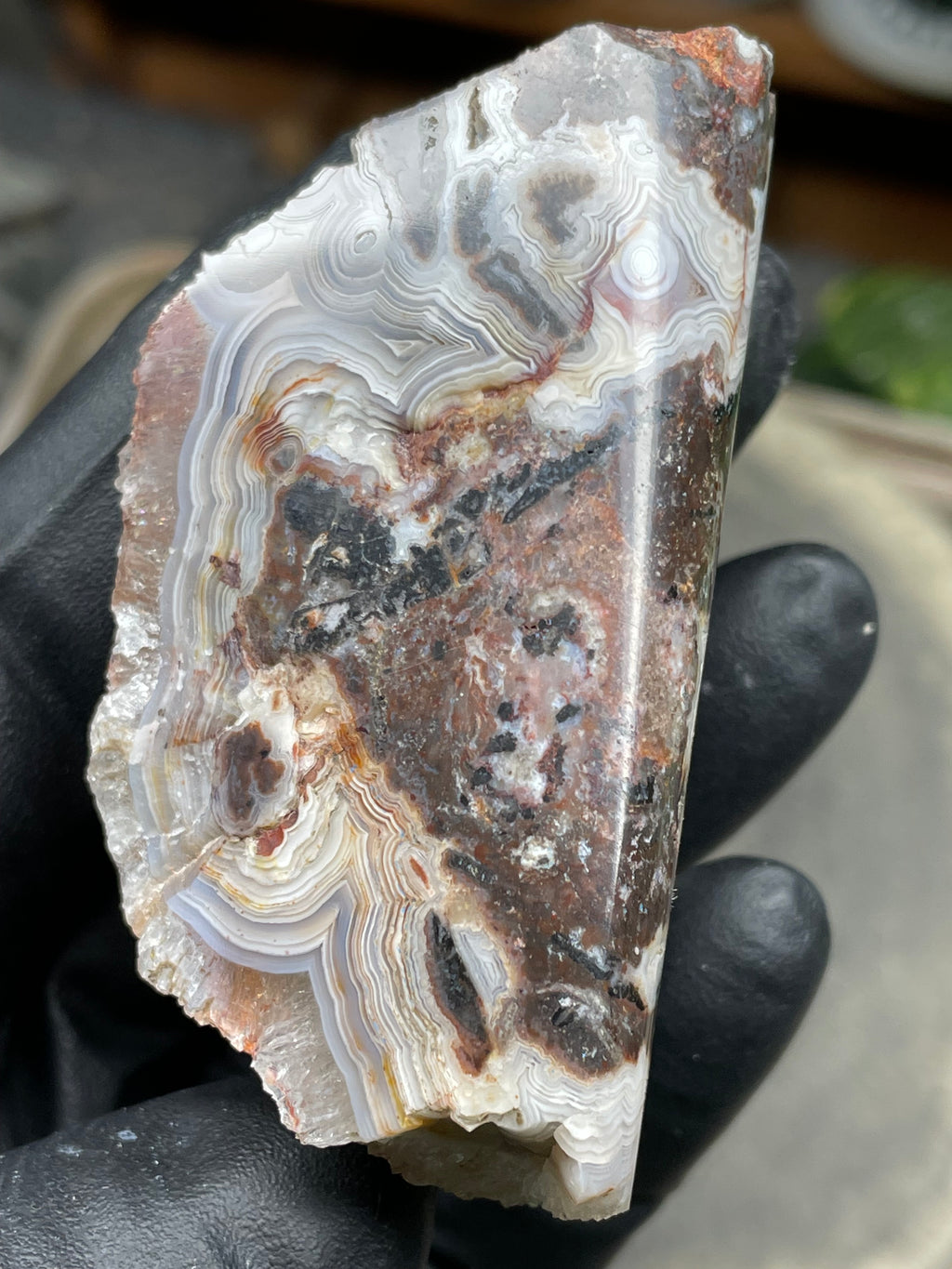 StoneBorn Creations Hand-Polished Lace Agate Freeform with Curved Polished Face, Intricate Fortification Banding & Natural Druzy Crystal Backing