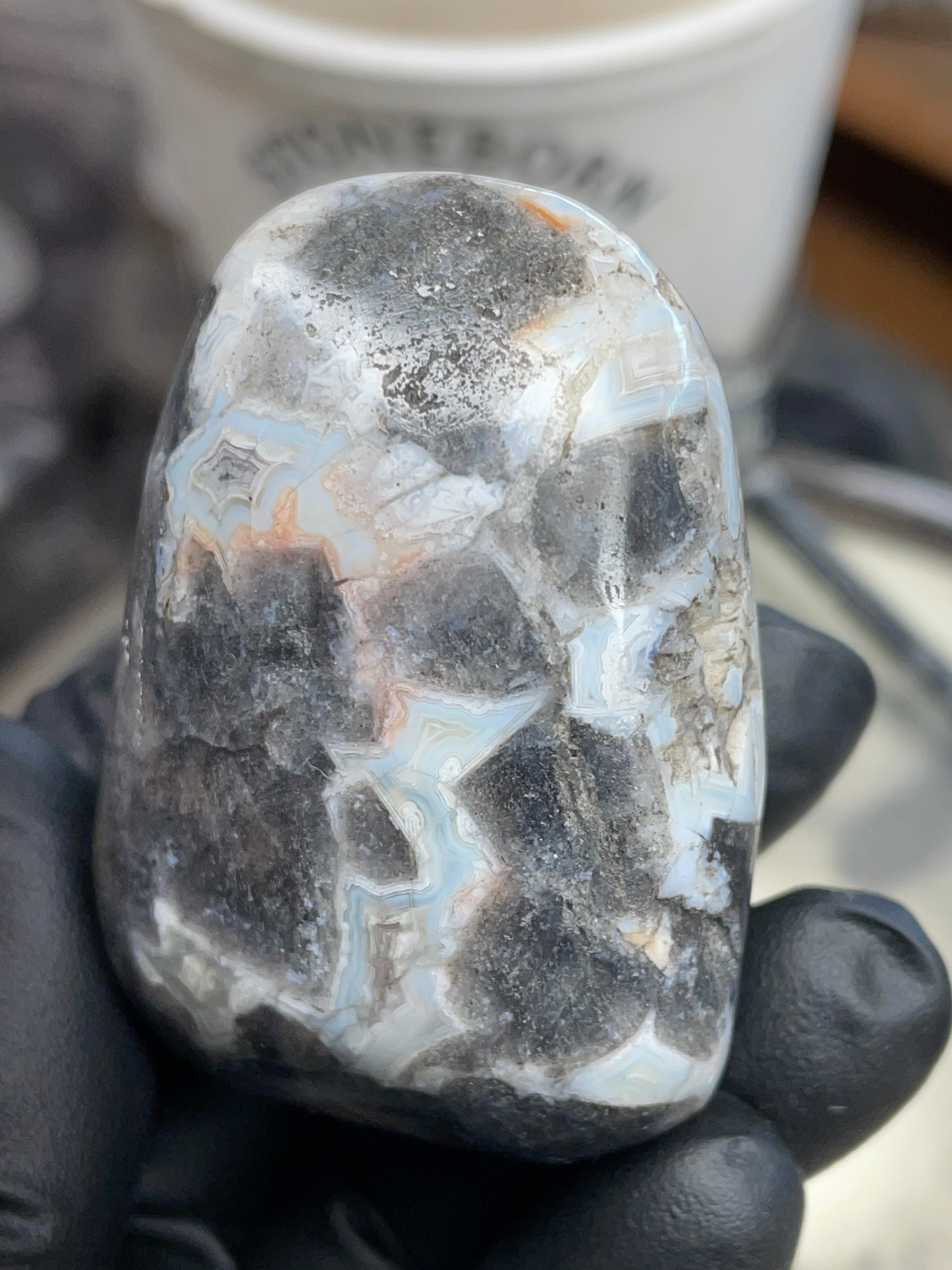 Blue-White Lace Banded Agate Freeform