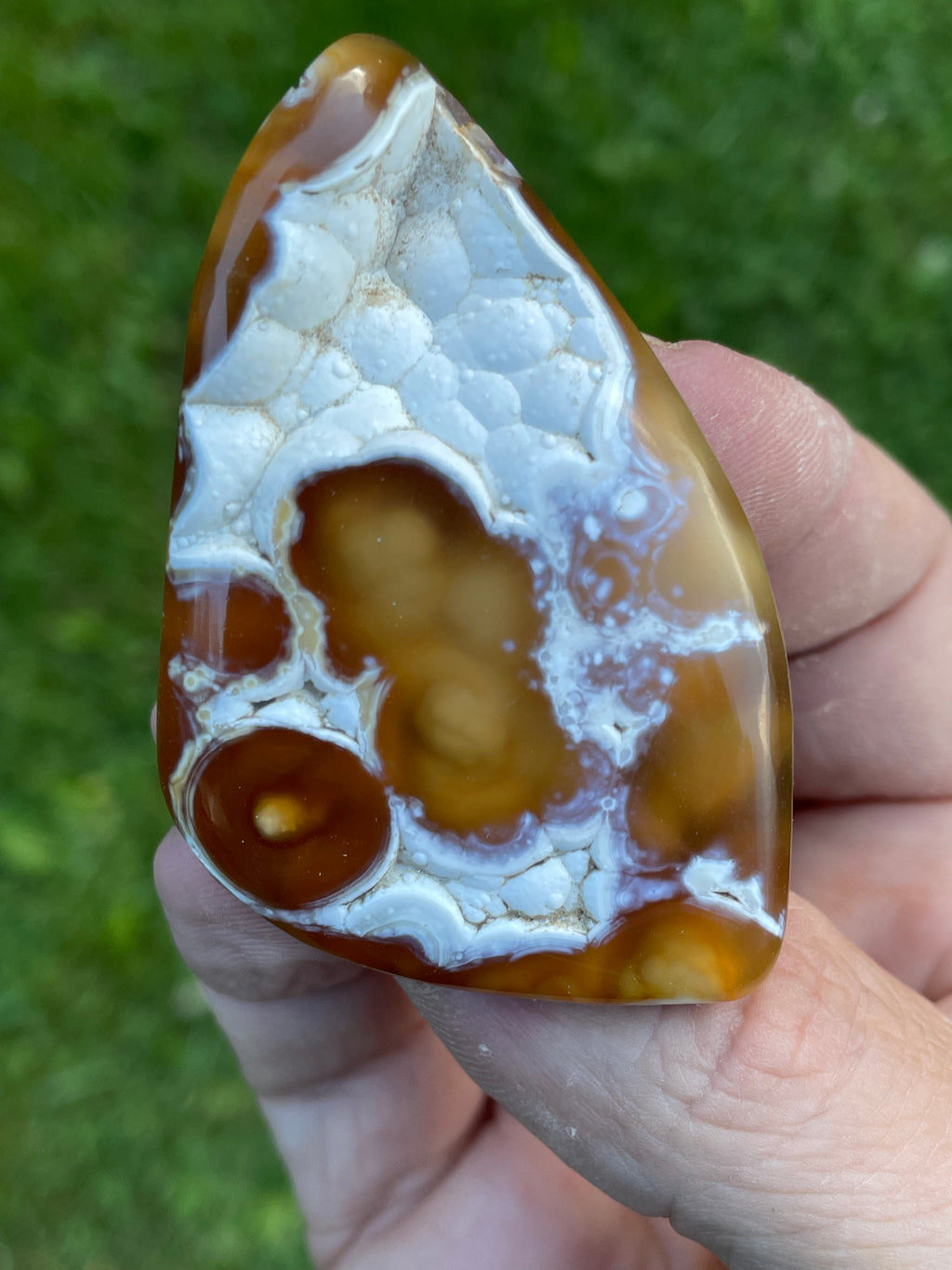 StoneBorn Creations Hand-Polished Agatized Coral Freeform with Amber Chalcedony, Orbicular Eyes & UV Fluorescence