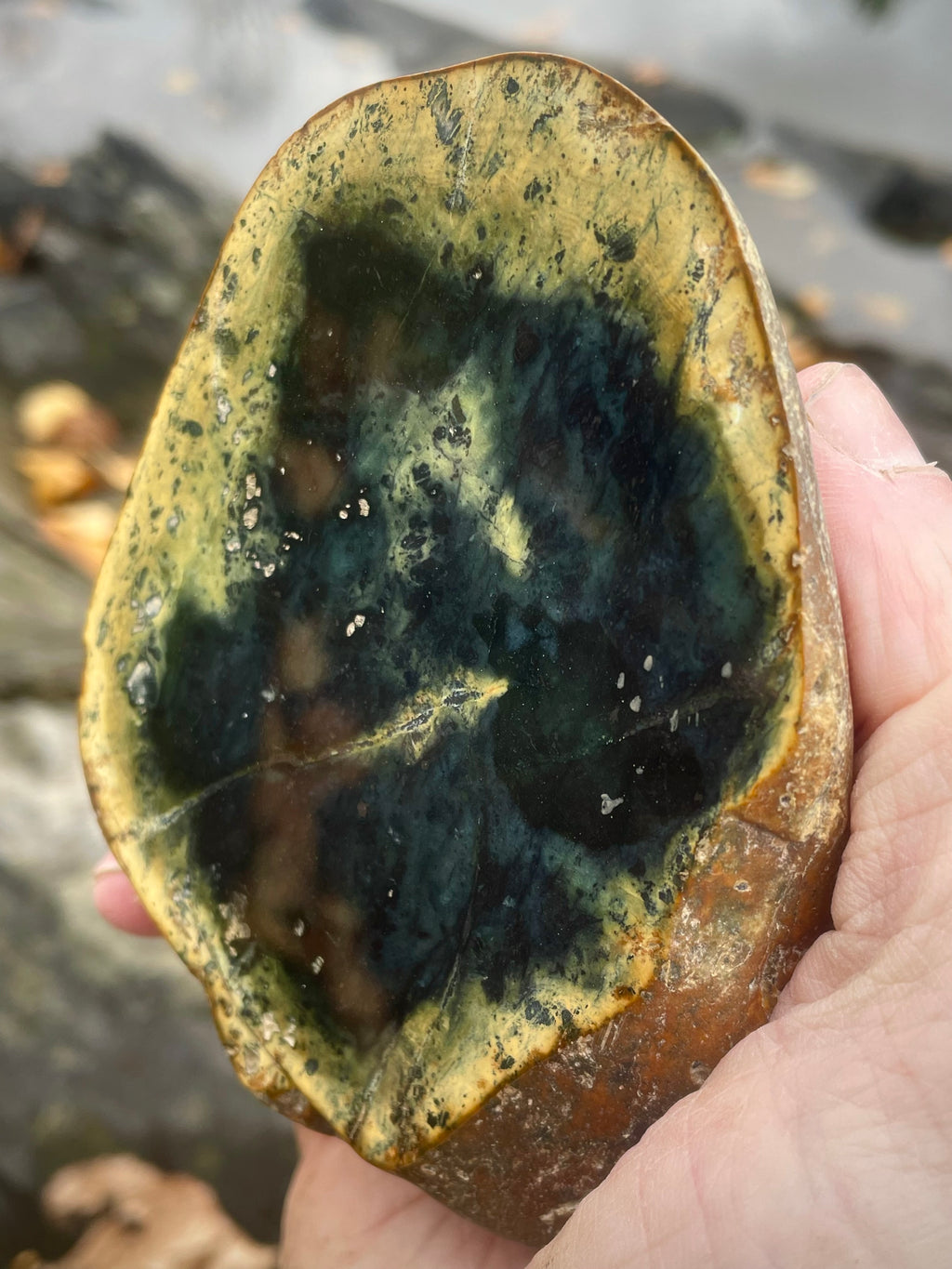 ✨Polished Vermont Greenstone – Golden Rim & Deep Teal Core
