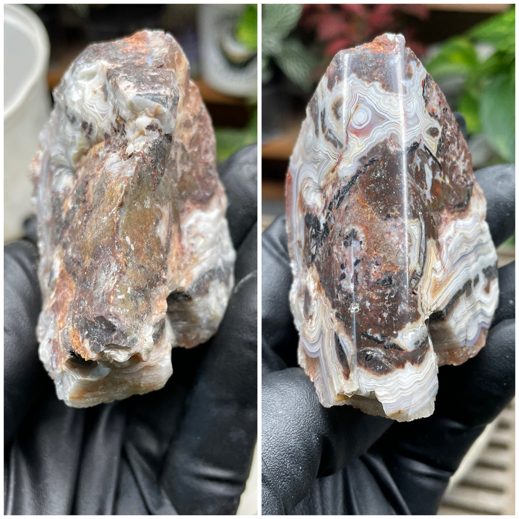 StoneBorn Creations Hand-Polished Lace Agate Freeform with Curved Polished Face, Intricate Fortification Banding & Natural Druzy Crystal Backing