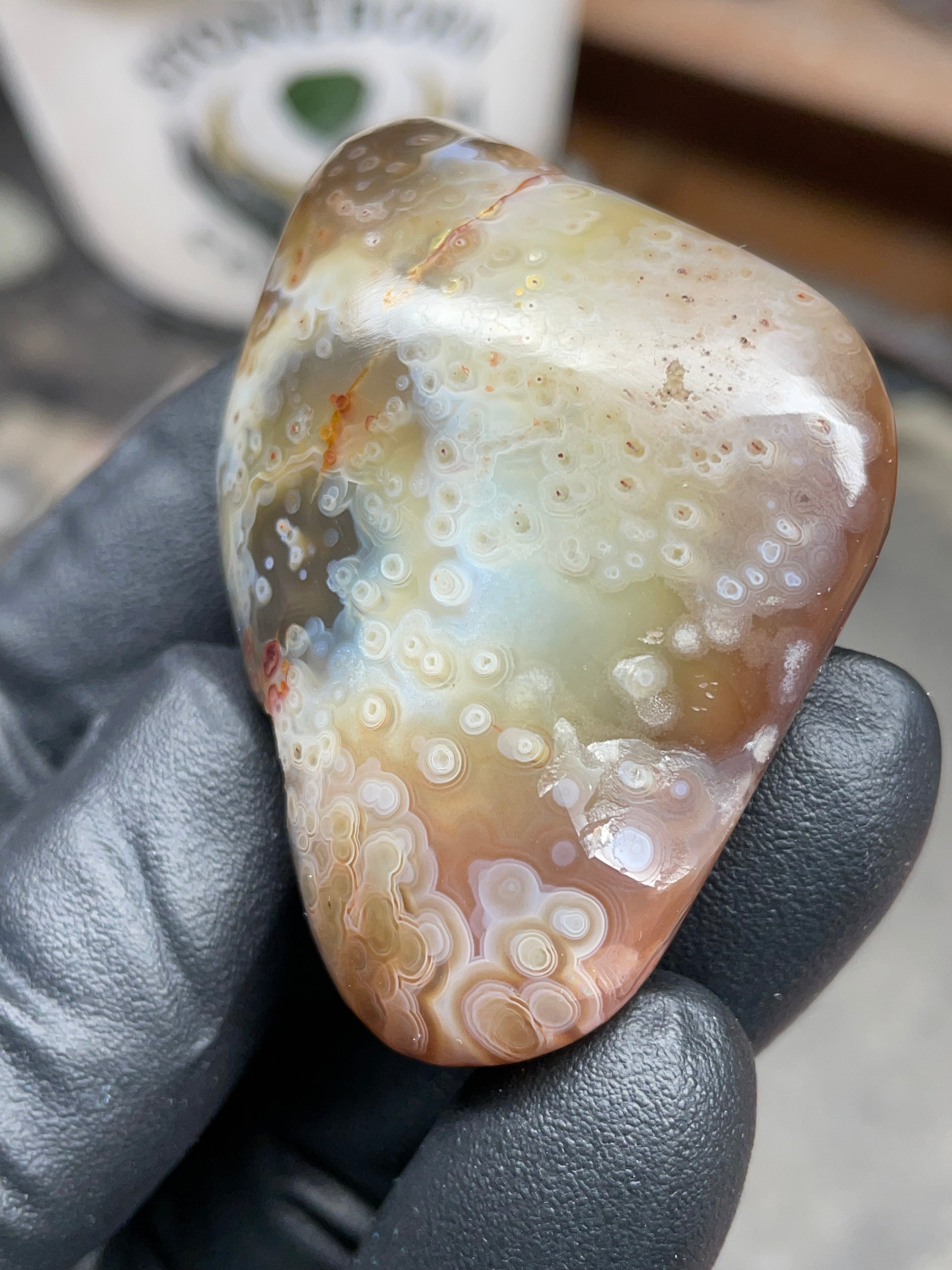 StoneBorn Creations Hand-Polished Botswana Agate – Orbicular “Eye” Patterns with Natural Pocket