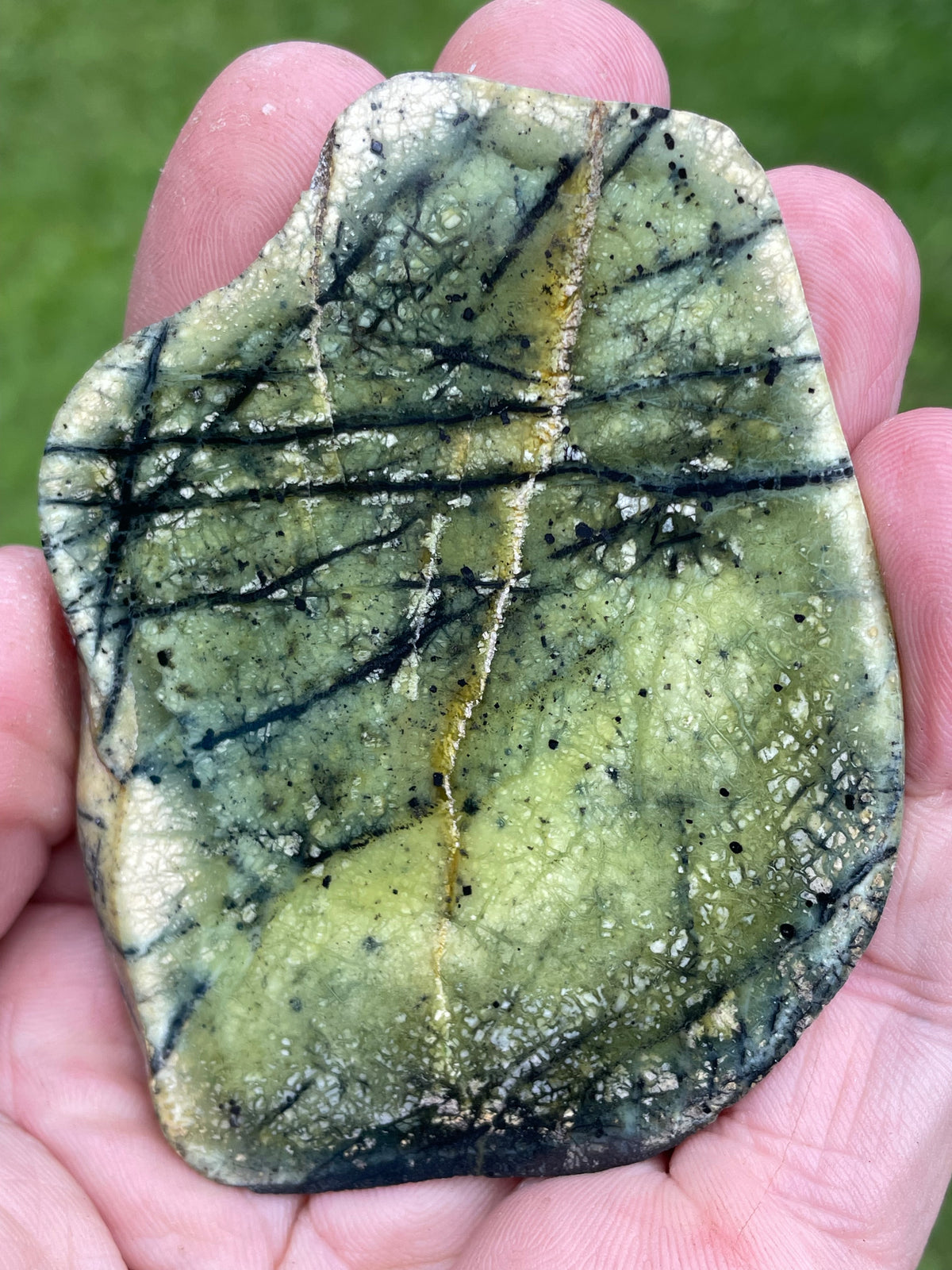 StoneBorn Creations – Polished Green Serpentine Stone | Black Veining & Natural Mineral Patterns