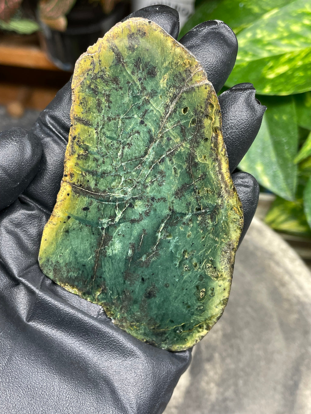 StoneBorn Creations Hand-Polished Vermont Greenstone Pair – Deep Emerald Interior Freeform Halves with Natural Earthy Matrix