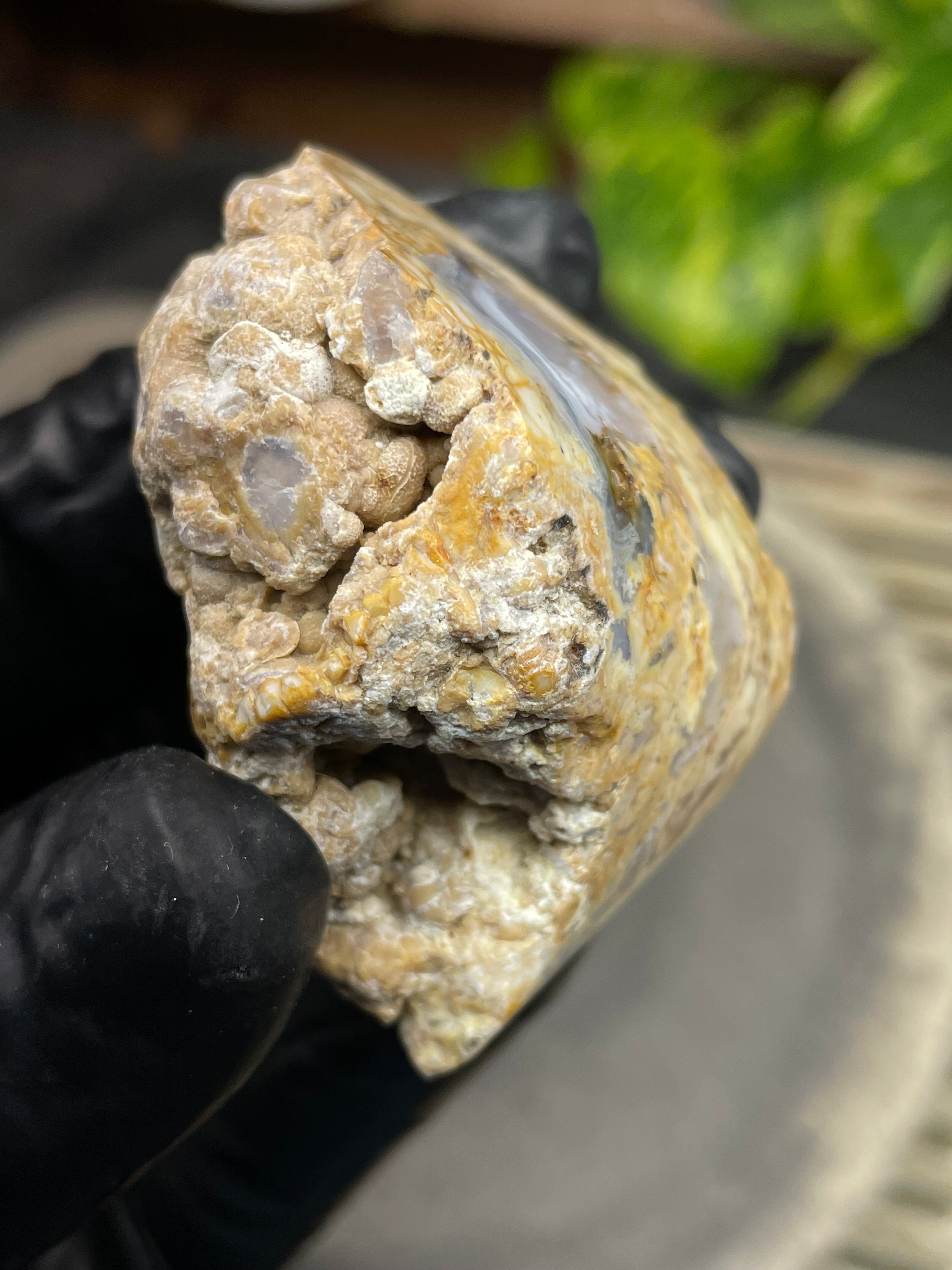 StoneBorn Creations Hand-Polished Curved Lace Agate with Natural Cream, Gold & Gray Banding – One-of-a-Kind Display Stone