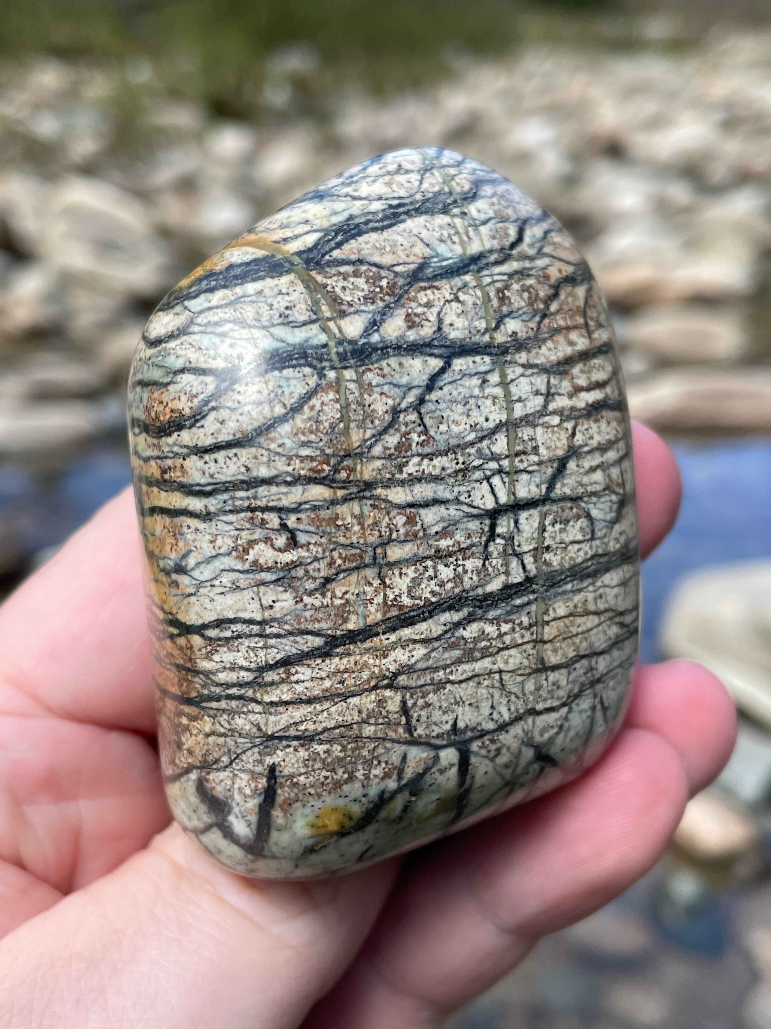 StoneBorn Creations Hand-Polished River Stone Freeform with Natural Black Webbing Patterns and Earthy Veining