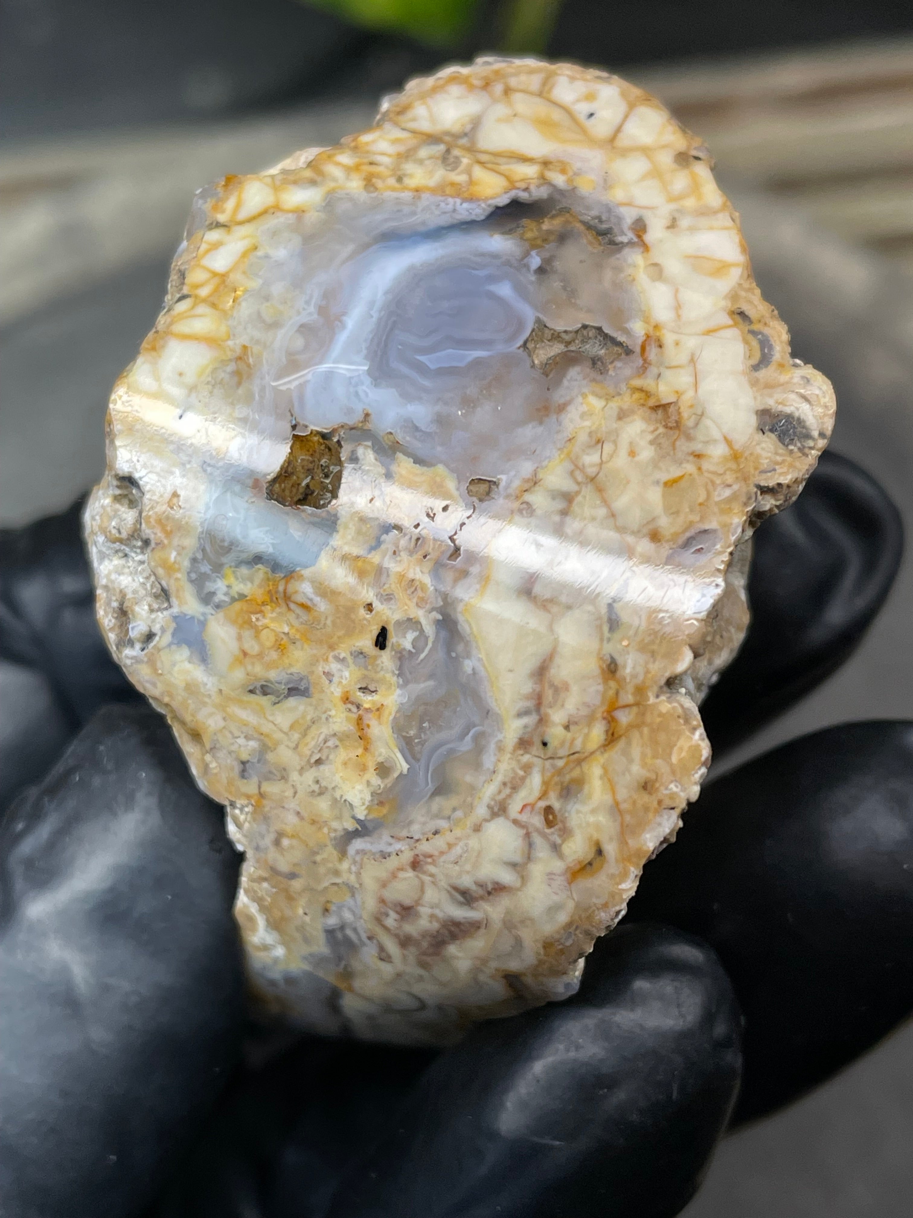 StoneBorn Creations Hand-Polished Curved Lace Agate with Natural Cream, Gold & Gray Banding – One-of-a-Kind Display Stone
