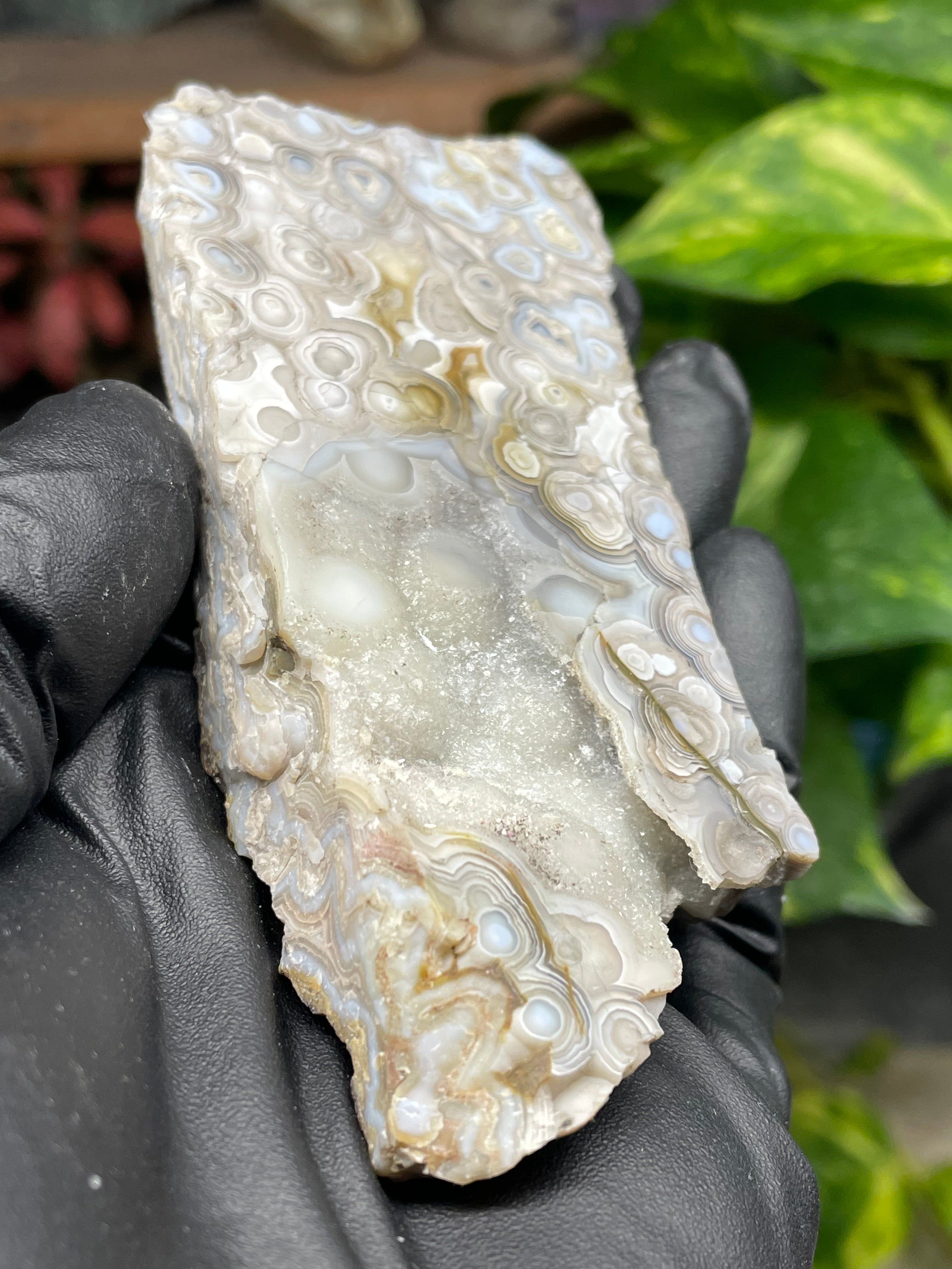 StoneBorn Creations Hand-Polished Lace Agate Pair – River Cut Matching Display Halves with Druzy Crystal Pockets & Intricate Natural Banding