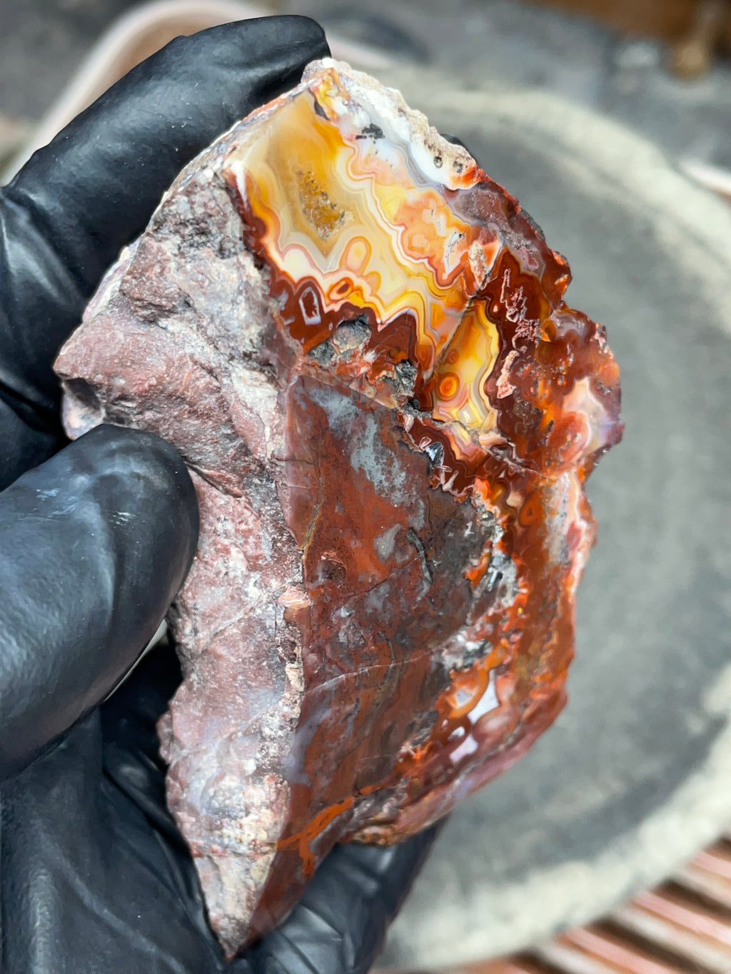 StoneBorn Creations — Hand-Polished Banded Agate (Curved Flat-Lap Polish)