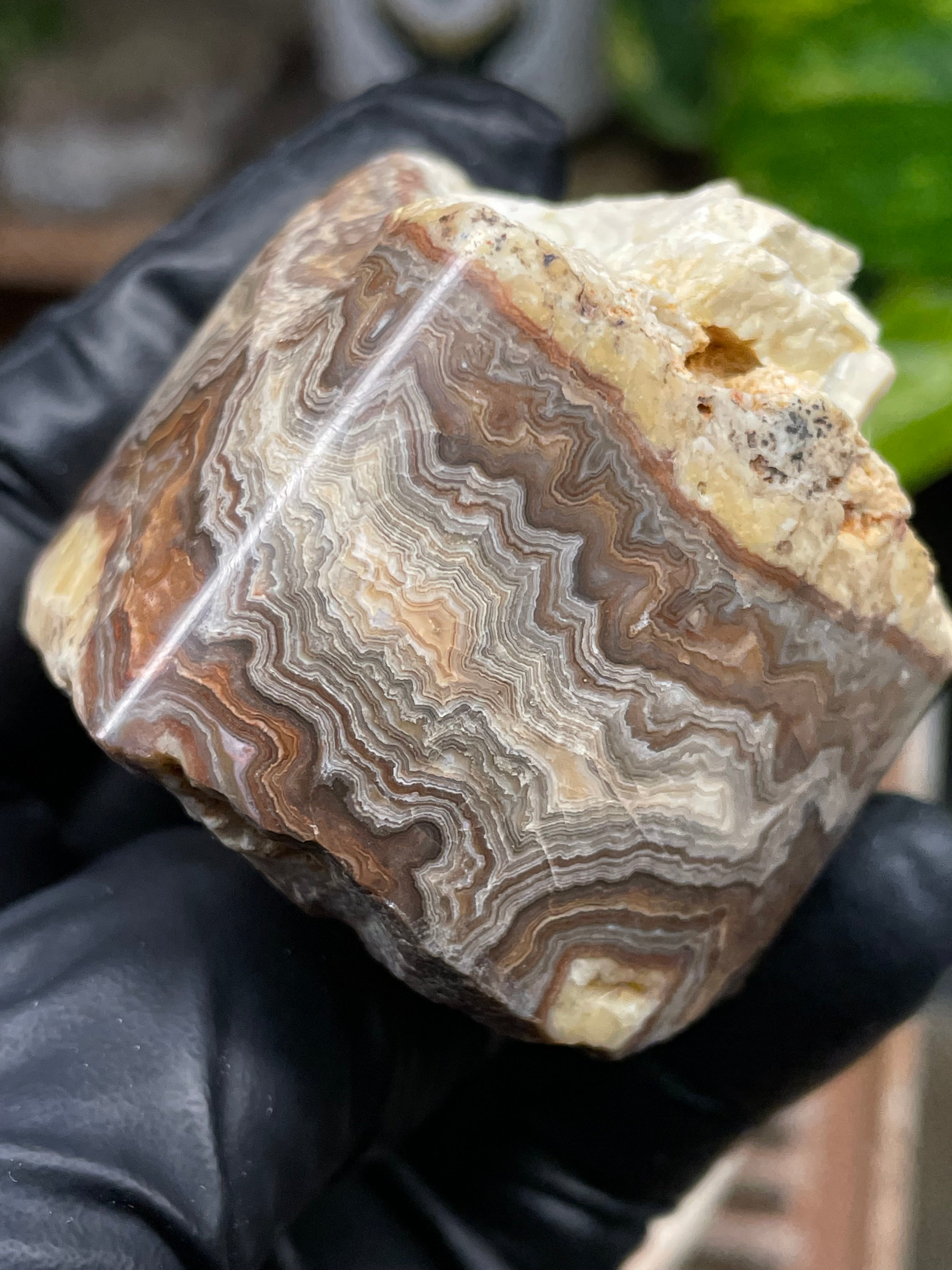 StoneBorn Creations Hand-Polished Banded Lace Agate with Natural Raw Top and Base – Intricate Earth-Toned Banding Freeform Finish