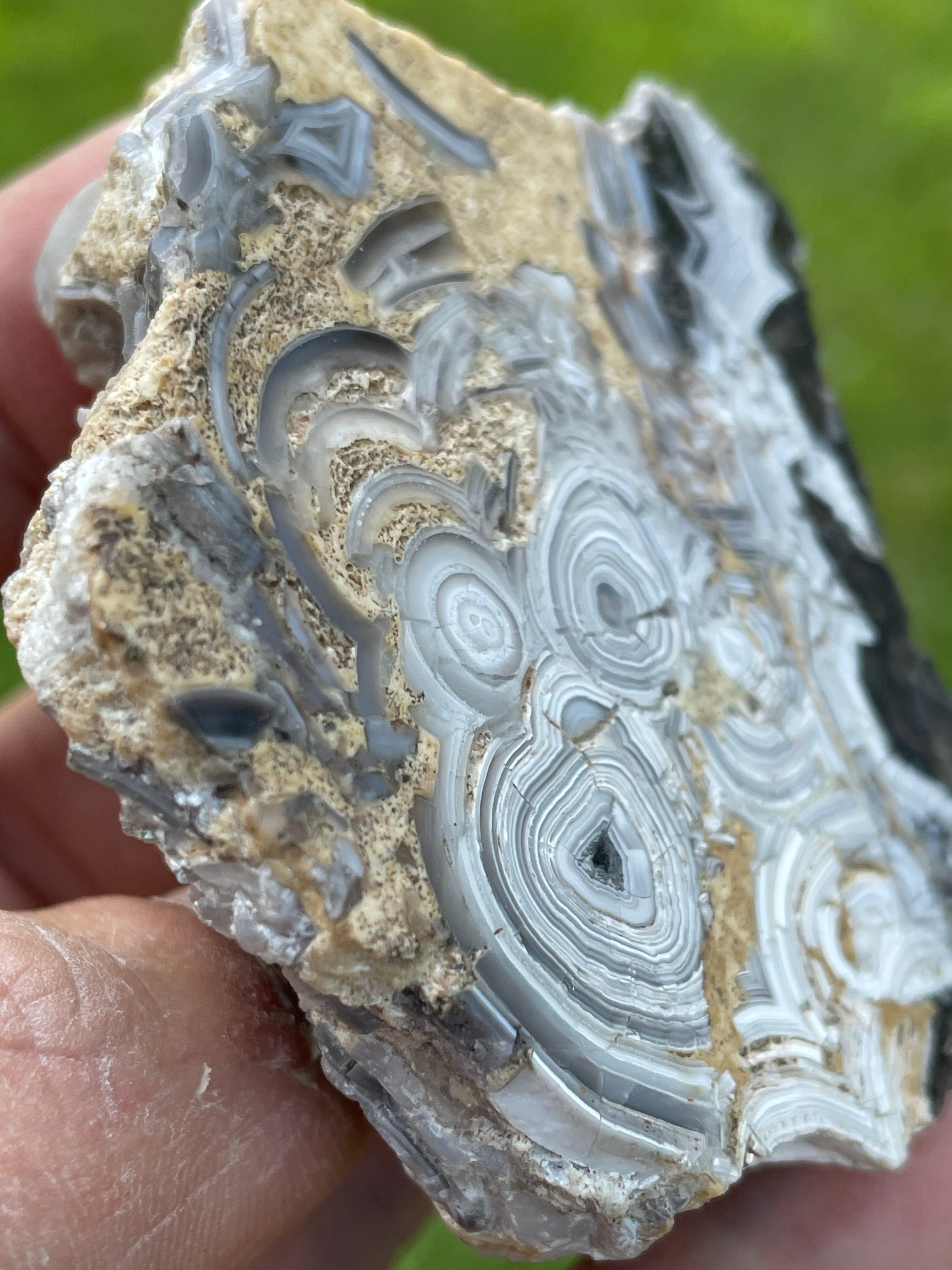 StoneBorn Creations Hand-Polished Tuxedo Lace Agate Bookmatched Pair | One-of-a-Kind Natural Display Stones