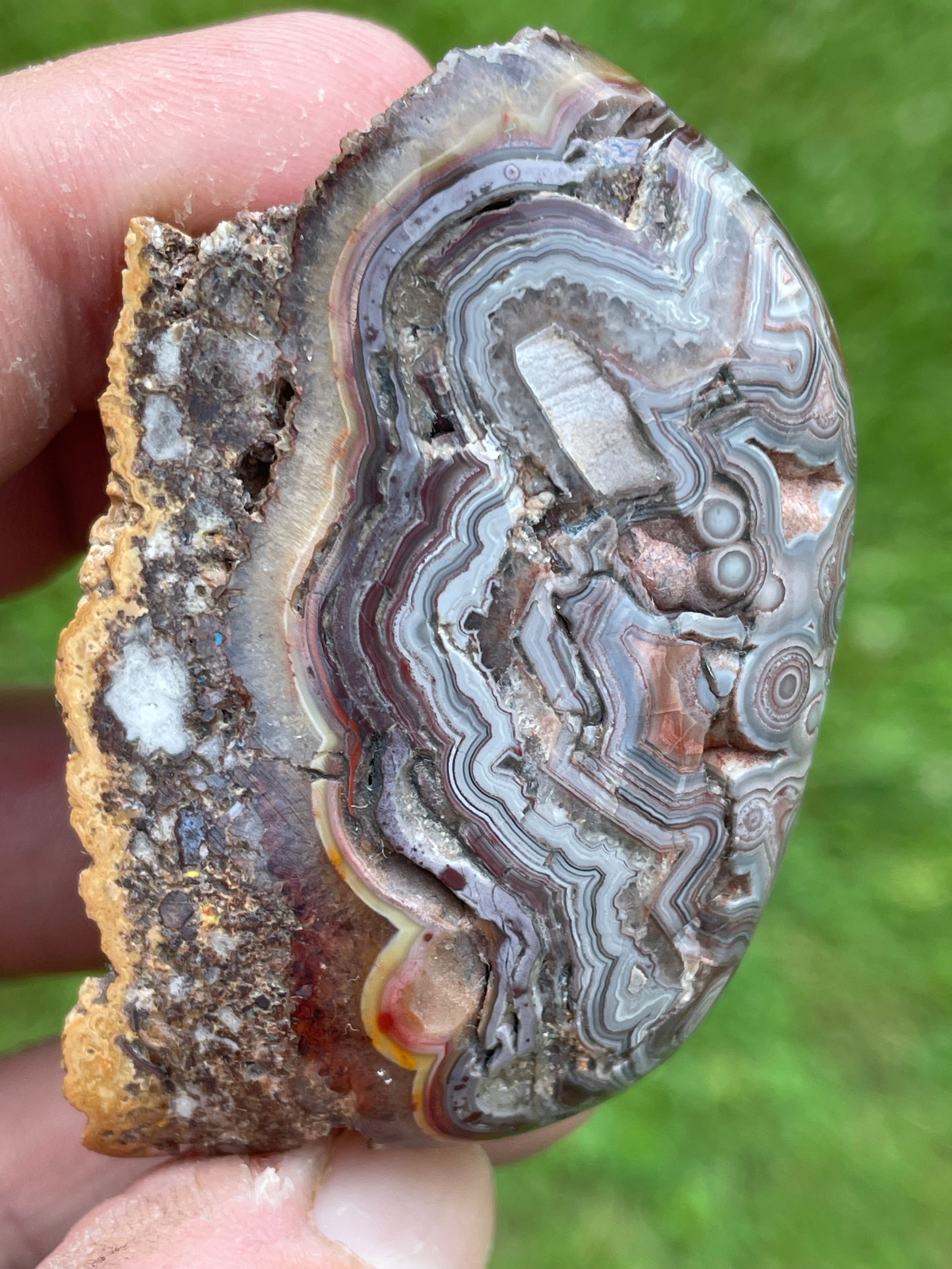 StoneBorn Creations Hand-Polished Custom Shaped Lace Agate Freeform with Natural Druzy Quartz, Orbicular Eyes & Fortification Banding