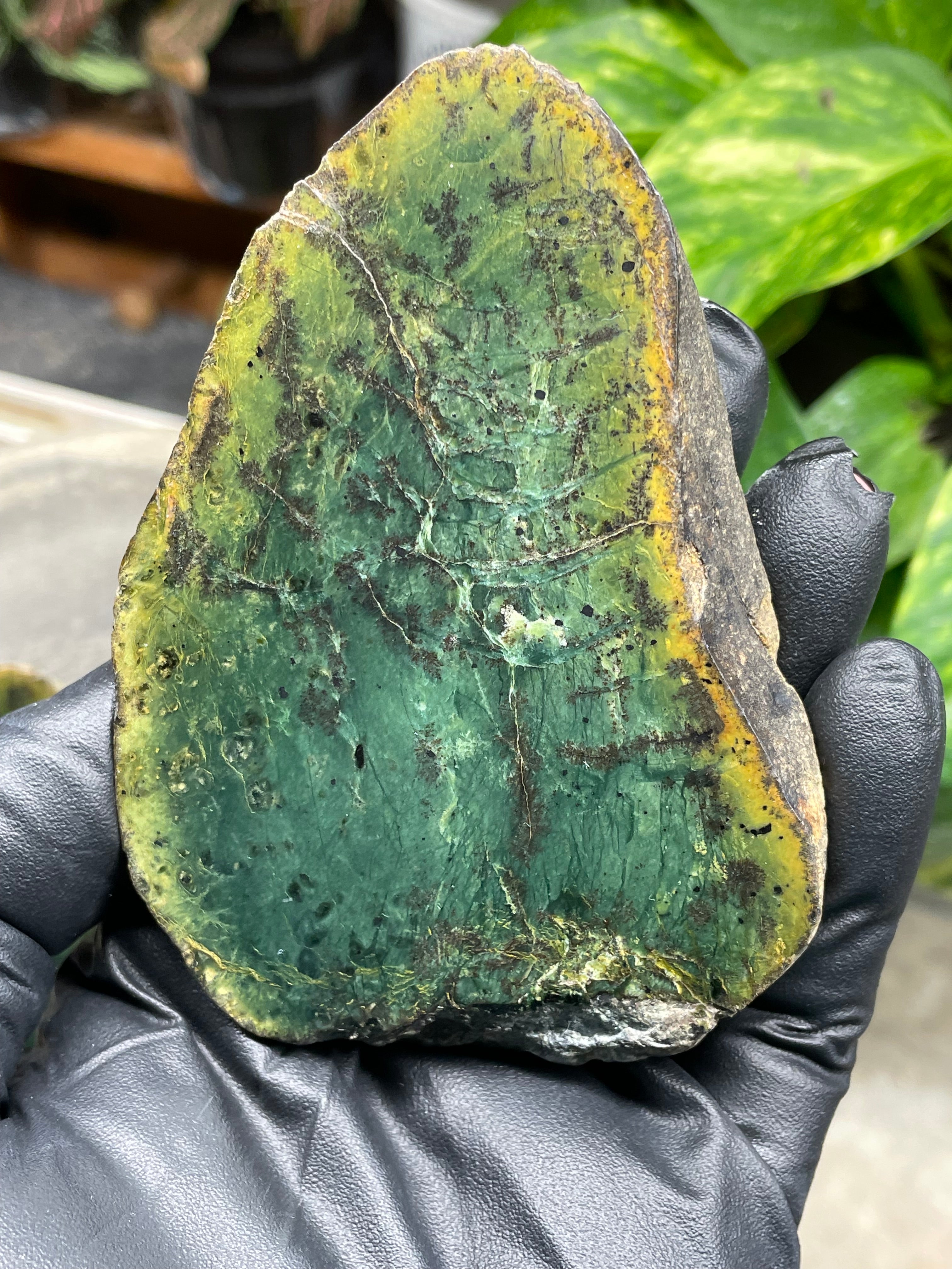 StoneBorn Creations Hand-Polished Vermont Greenstone Pair – Deep Emerald Interior Freeform Halves with Natural Earthy Matrix