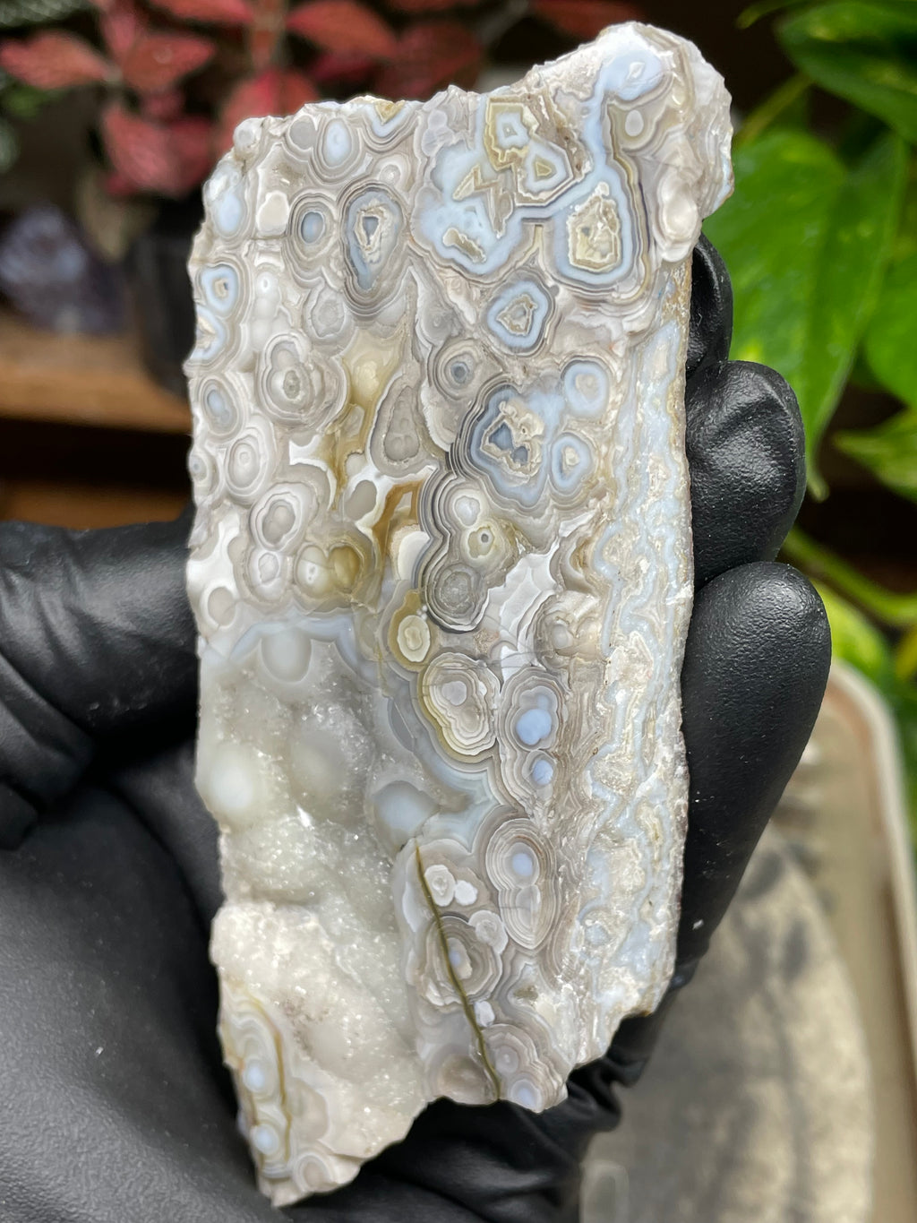 StoneBorn Creations Hand-Polished Lace Agate Pair – River Cut Matching Display Halves with Druzy Crystal Pockets & Intricate Natural Banding