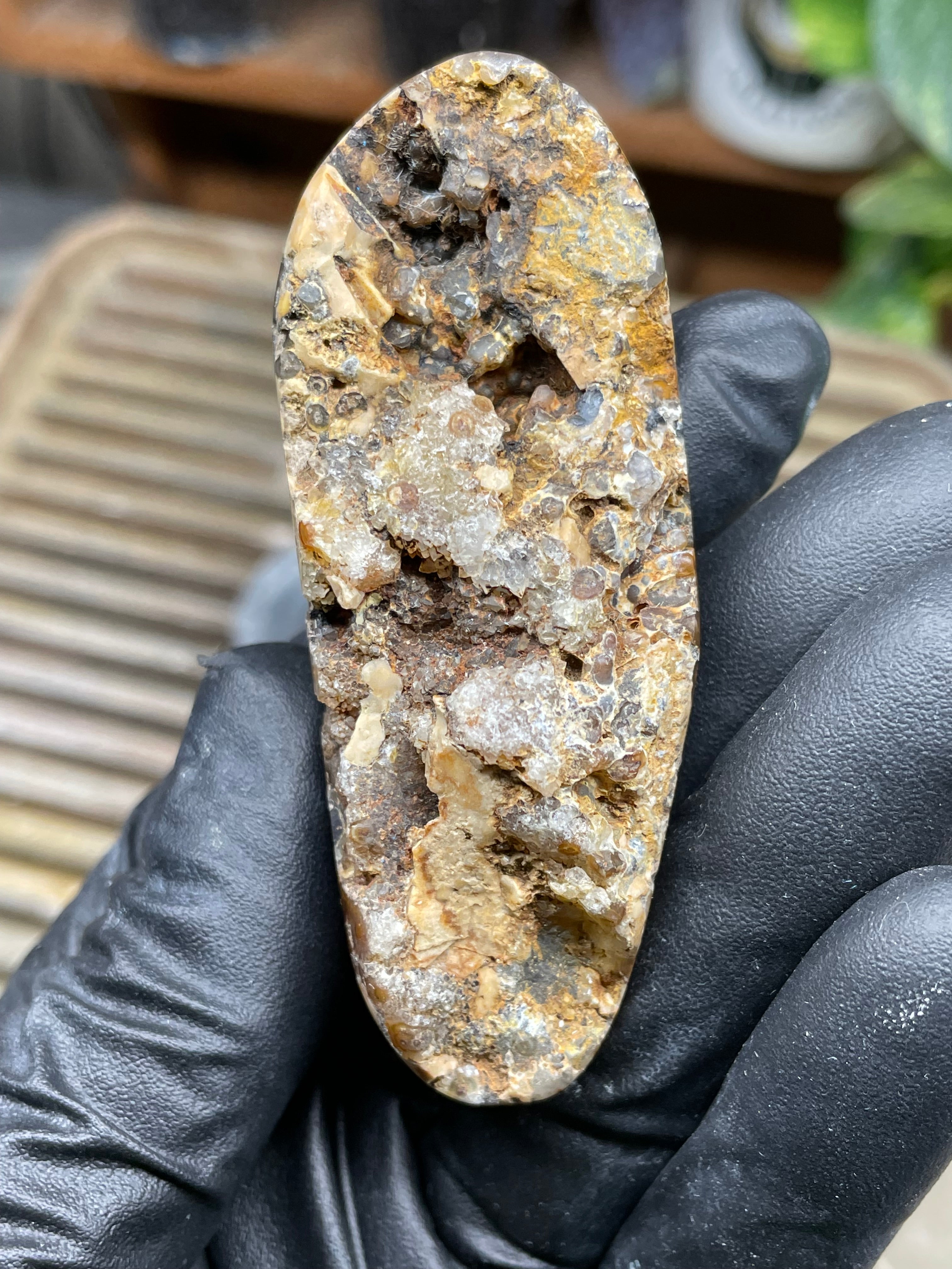 StoneBorn Creations Hand-Polished Trent Agate Freeform with Creamy Plume Inclusions, Druzy Cavities & Earth-Toned Chalcedony