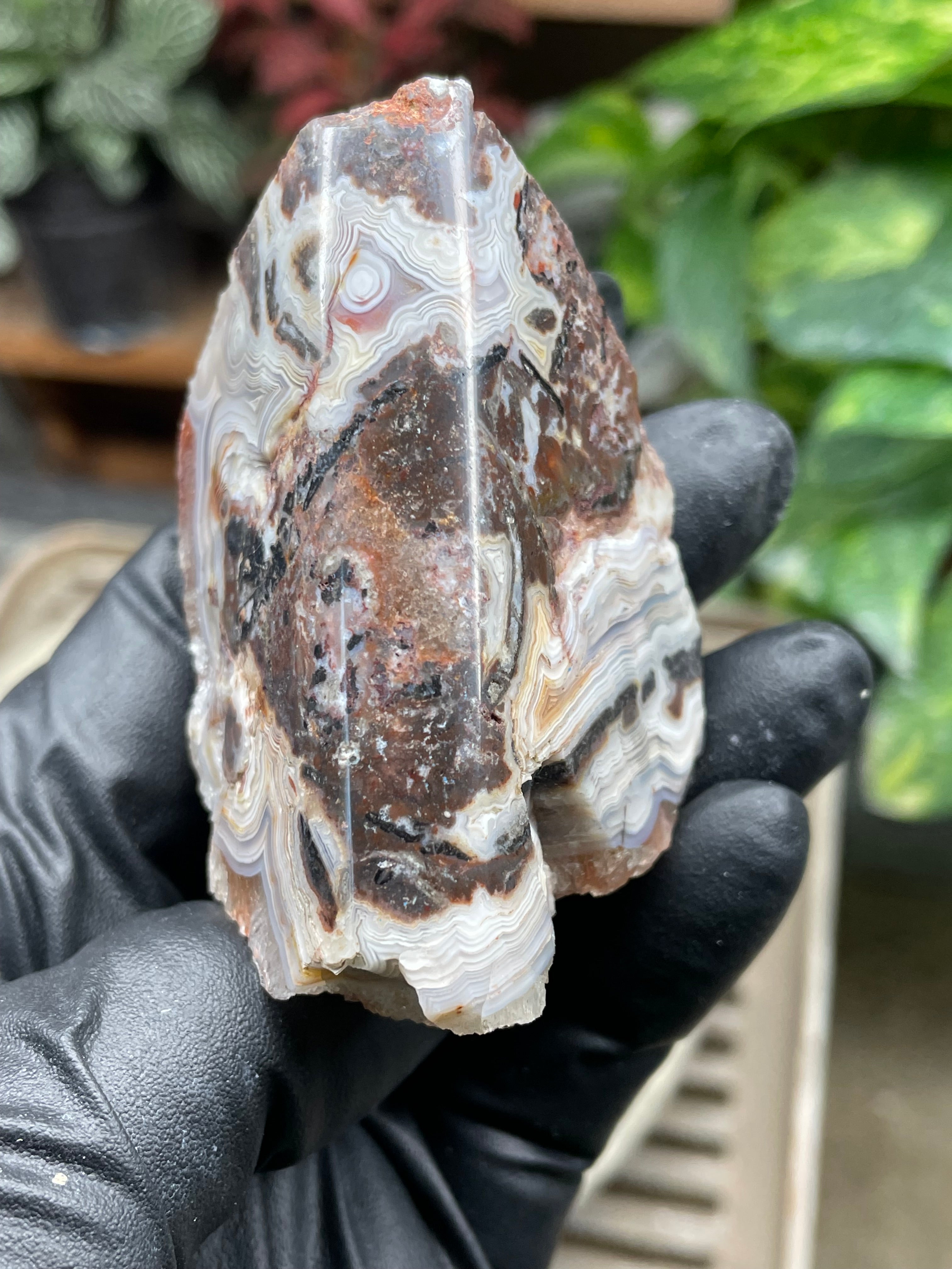 StoneBorn Creations Hand-Polished Lace Agate Freeform with Curved Polished Face, Intricate Fortification Banding & Natural Druzy Crystal Backing