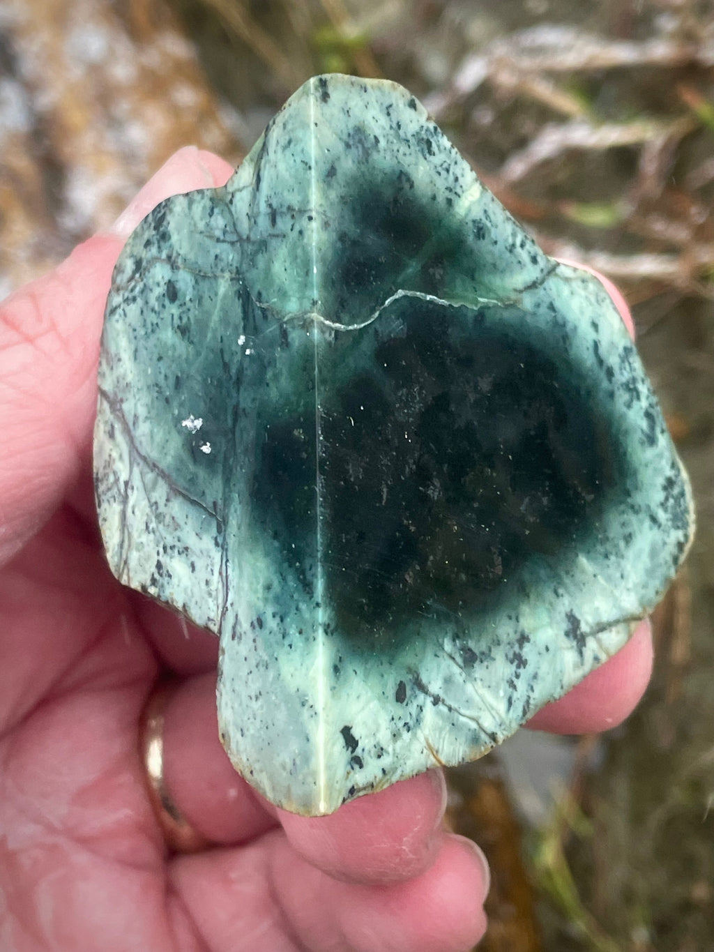 🌿 Polished Vermont Green Serpentine – Deep Forest Core Slice