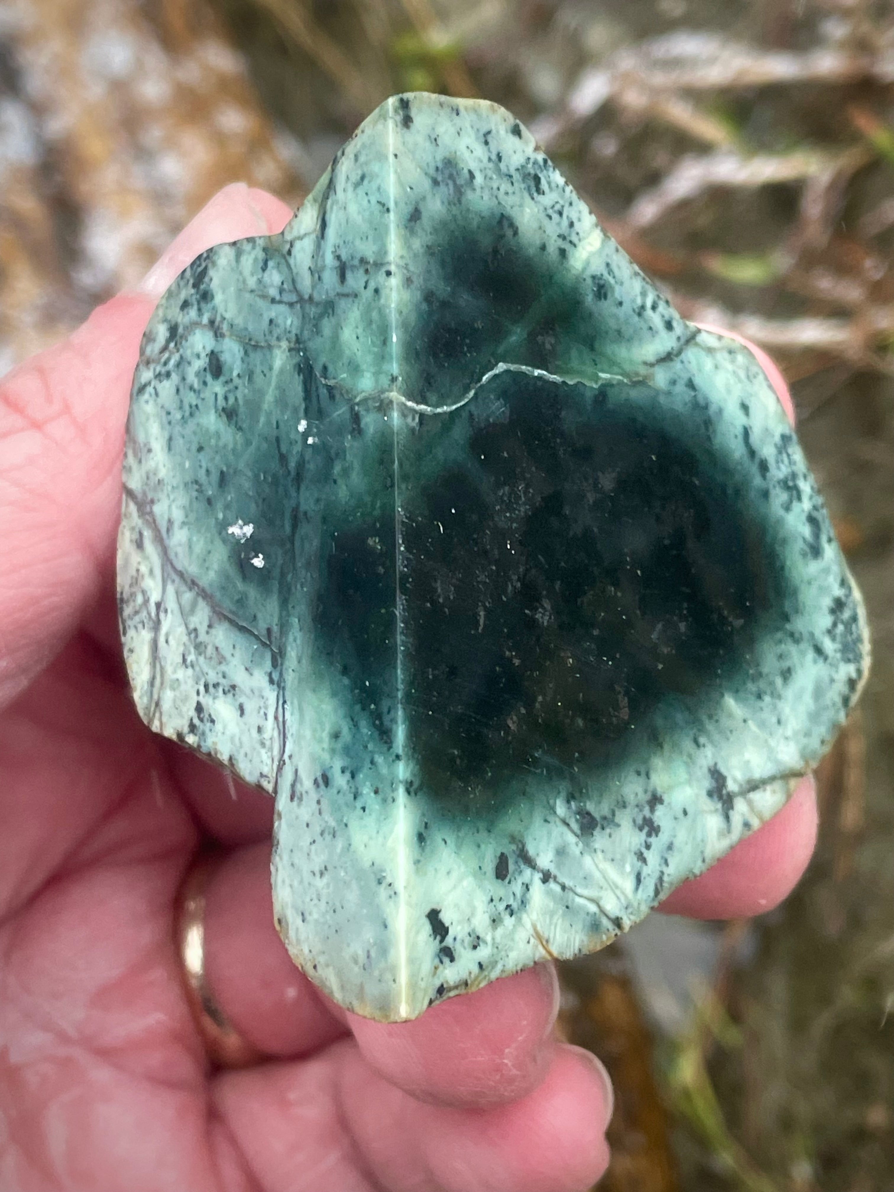 🌿 Polished Vermont Green Serpentine – Deep Forest Core Slice