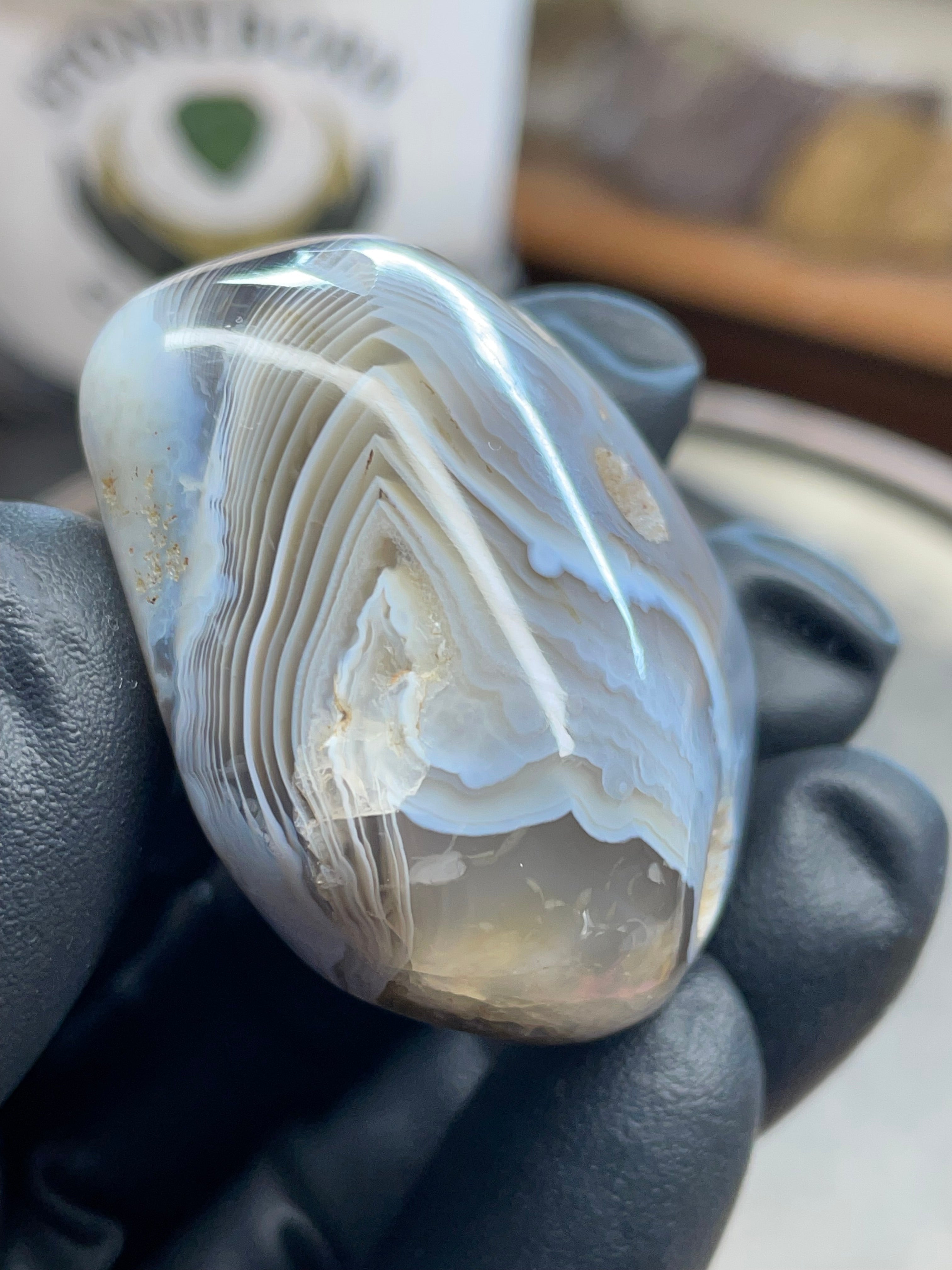 Hand-Polished Botswana Agate | StoneBorn Creations