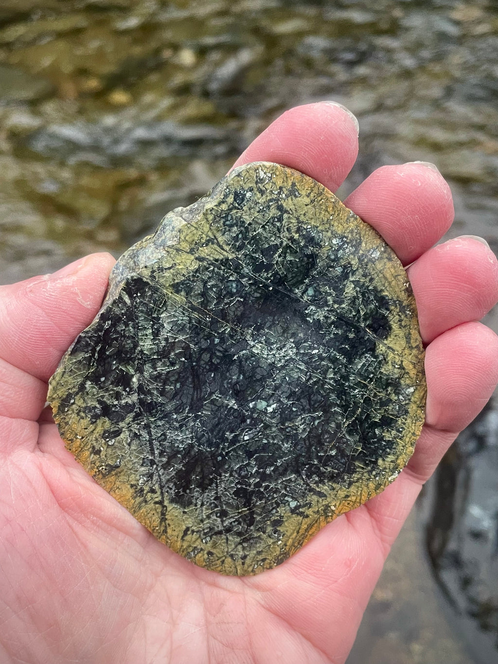 🌲 Hand-Polished Vermont Green Serpentine Slice – Deep Forest Patterning
