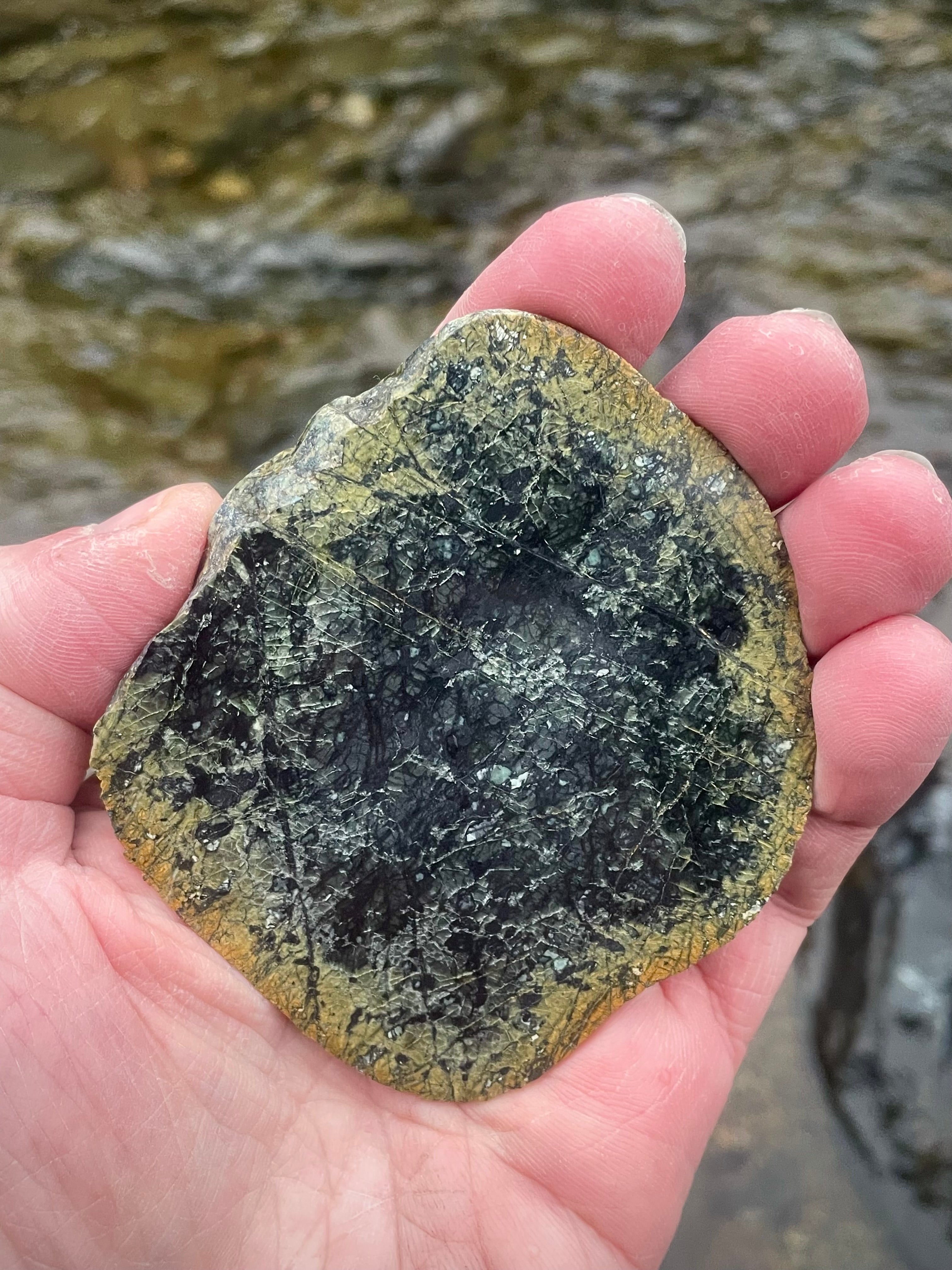 🌲 Hand-Polished Vermont Green Serpentine Slice – Deep Forest Patterning