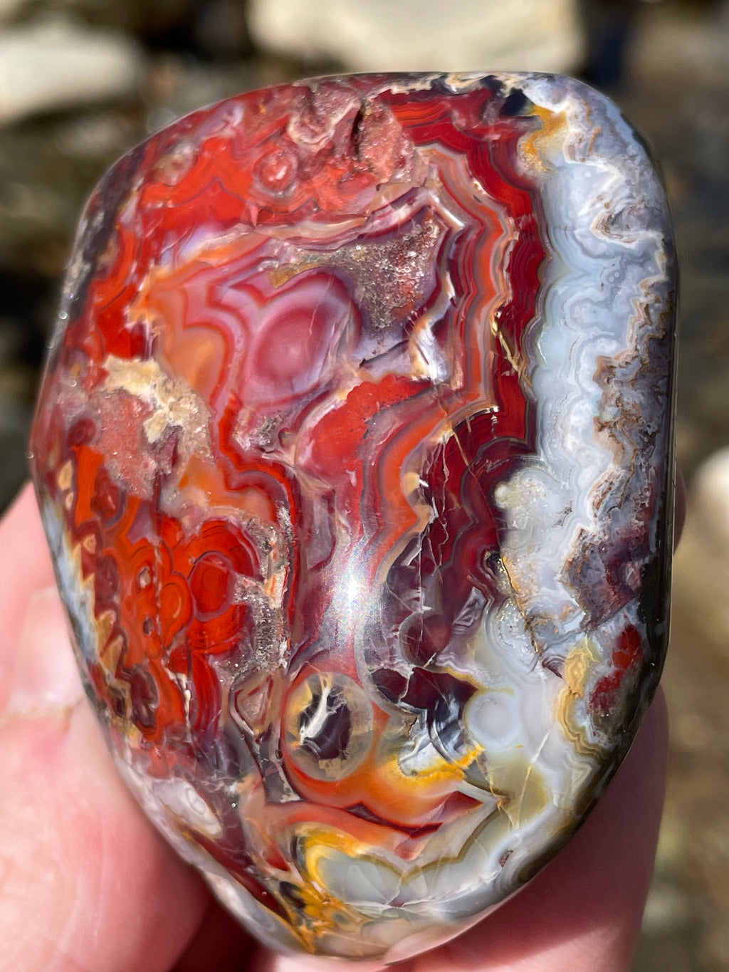 StoneBorn Creations Hand Polished Lace Agate Freeform with Fiery Crimson Banding and Natural Raw Backing