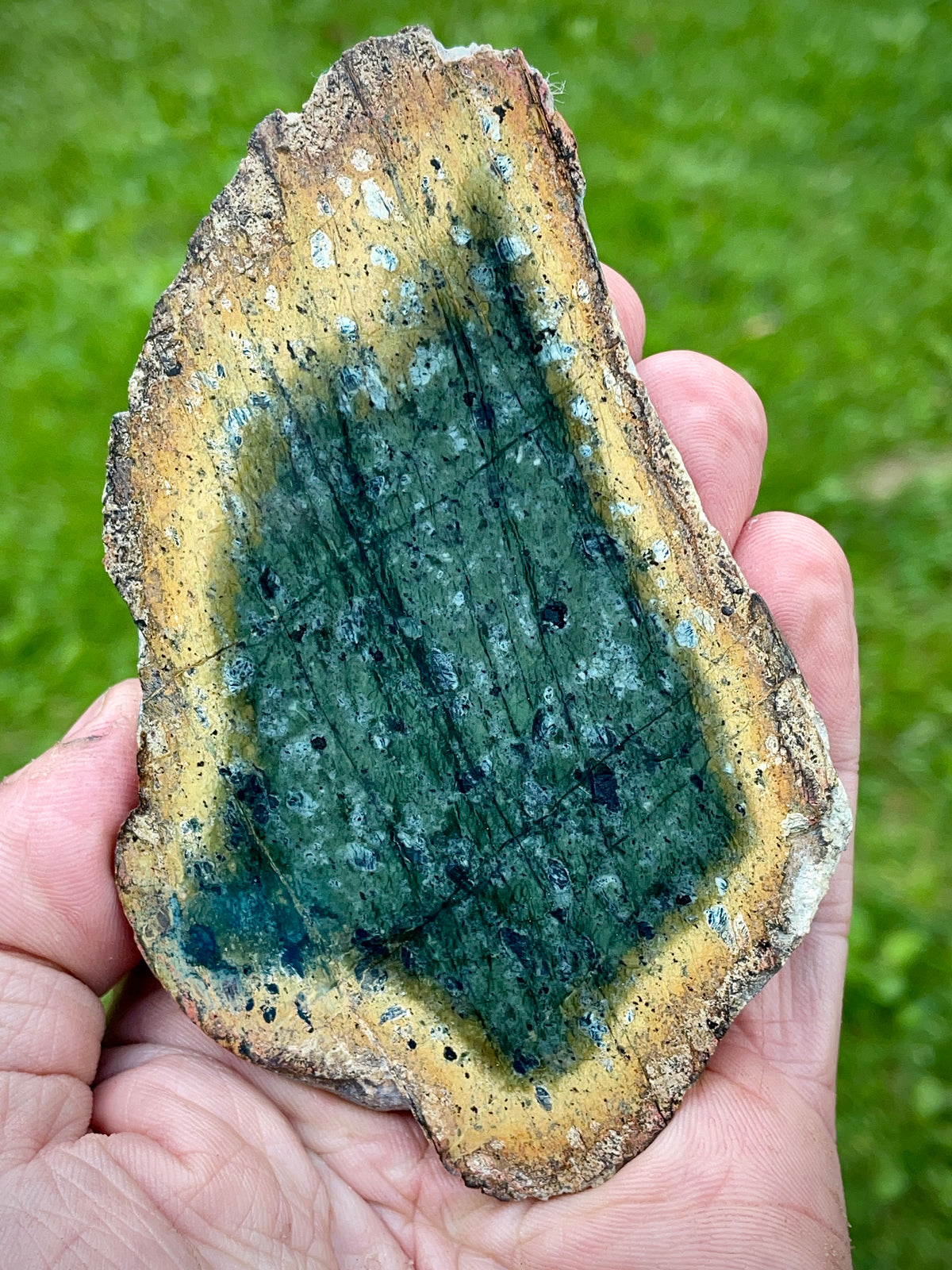 StoneBorn Creations – Deep Green Serpentine Stone Pair | Natural Matching Halves with Golden Earth Tones
