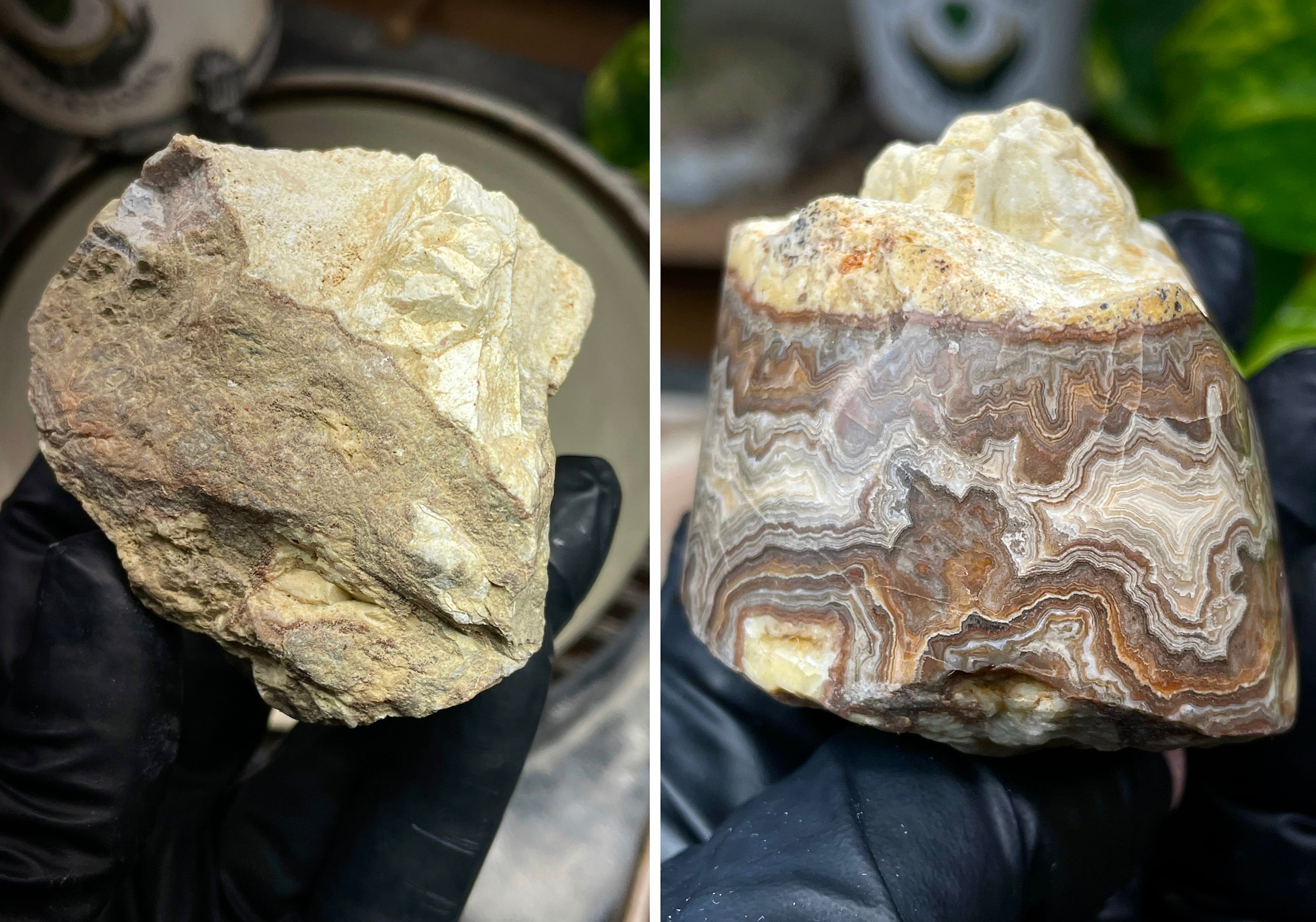 StoneBorn Creations Hand-Polished Banded Lace Agate with Natural Raw Top and Base – Intricate Earth-Toned Banding Freeform Finish