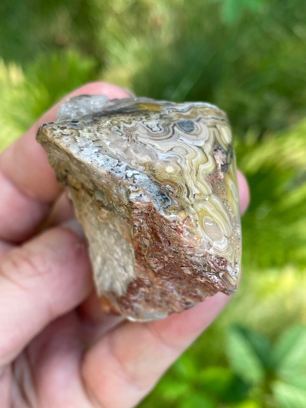 StoneBorn Creations Hand-Polished Lace Agate Freeform with Intricate Fortification Banding, Orbicular Eyes & Natural Druzy Quartz Pocket