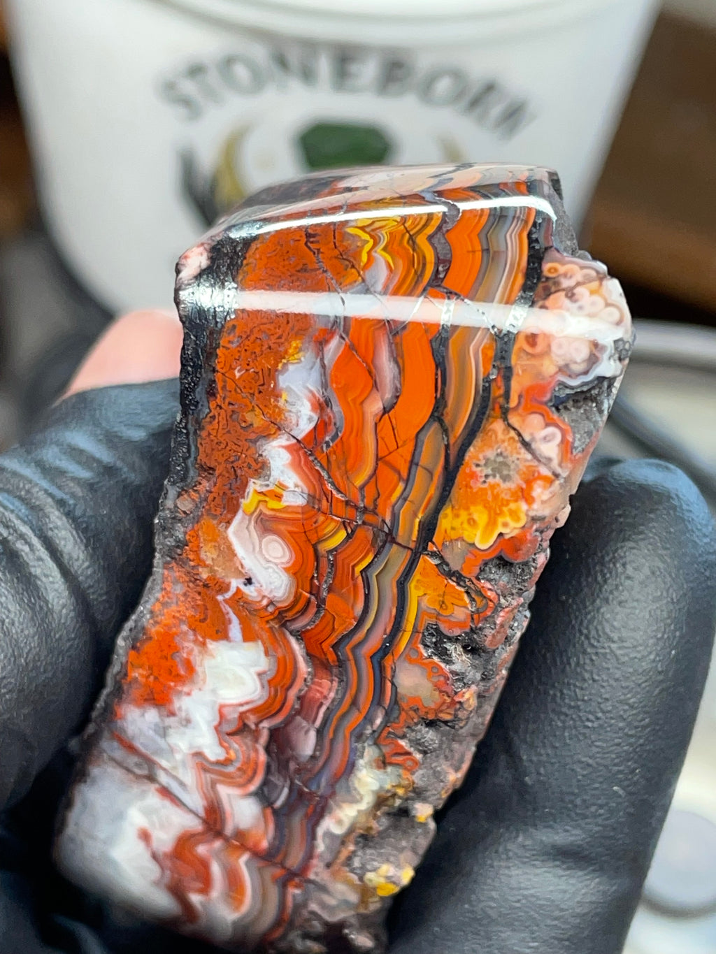 Hand Polished Banded Agate (Raw + Refined Edge)