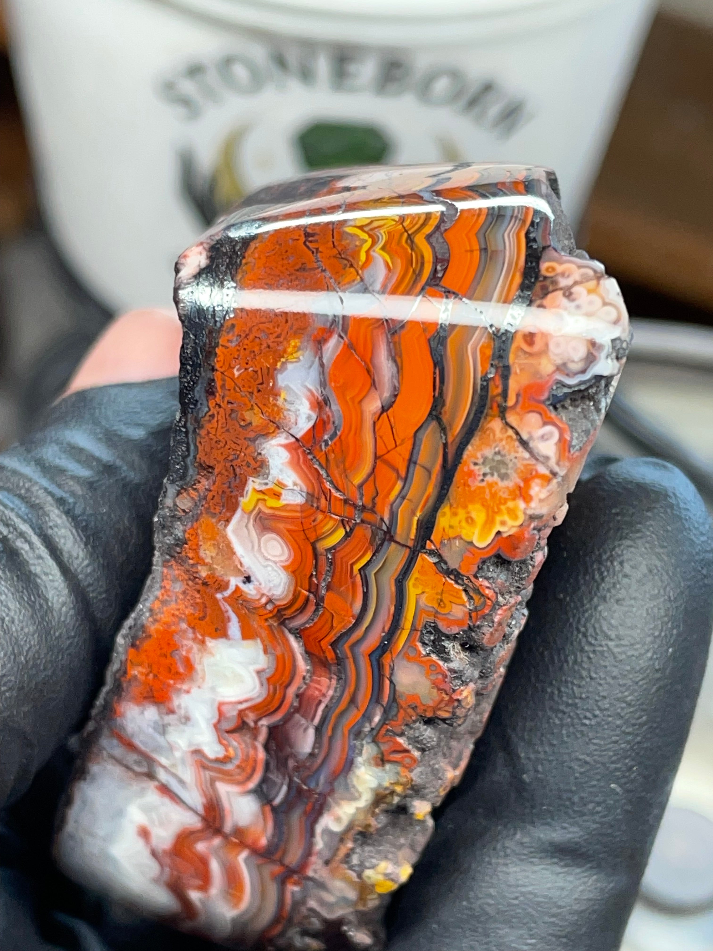 Hand Polished Banded Agate (Raw + Refined Edge)