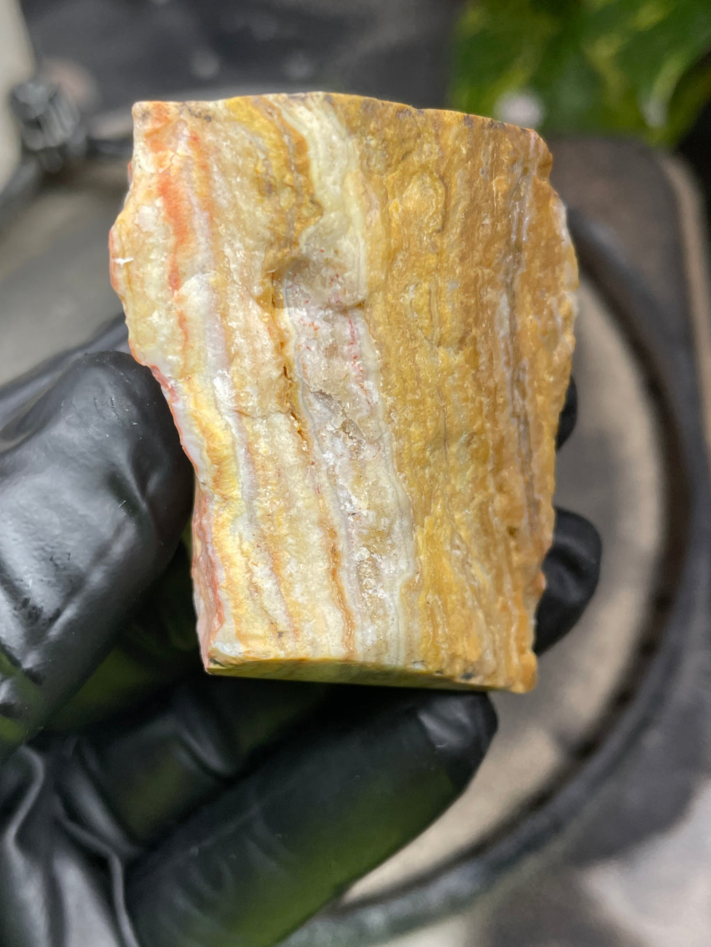 Hand-Polished Banded Agate with Warm Golden Layers and Intricate Lace Patterning