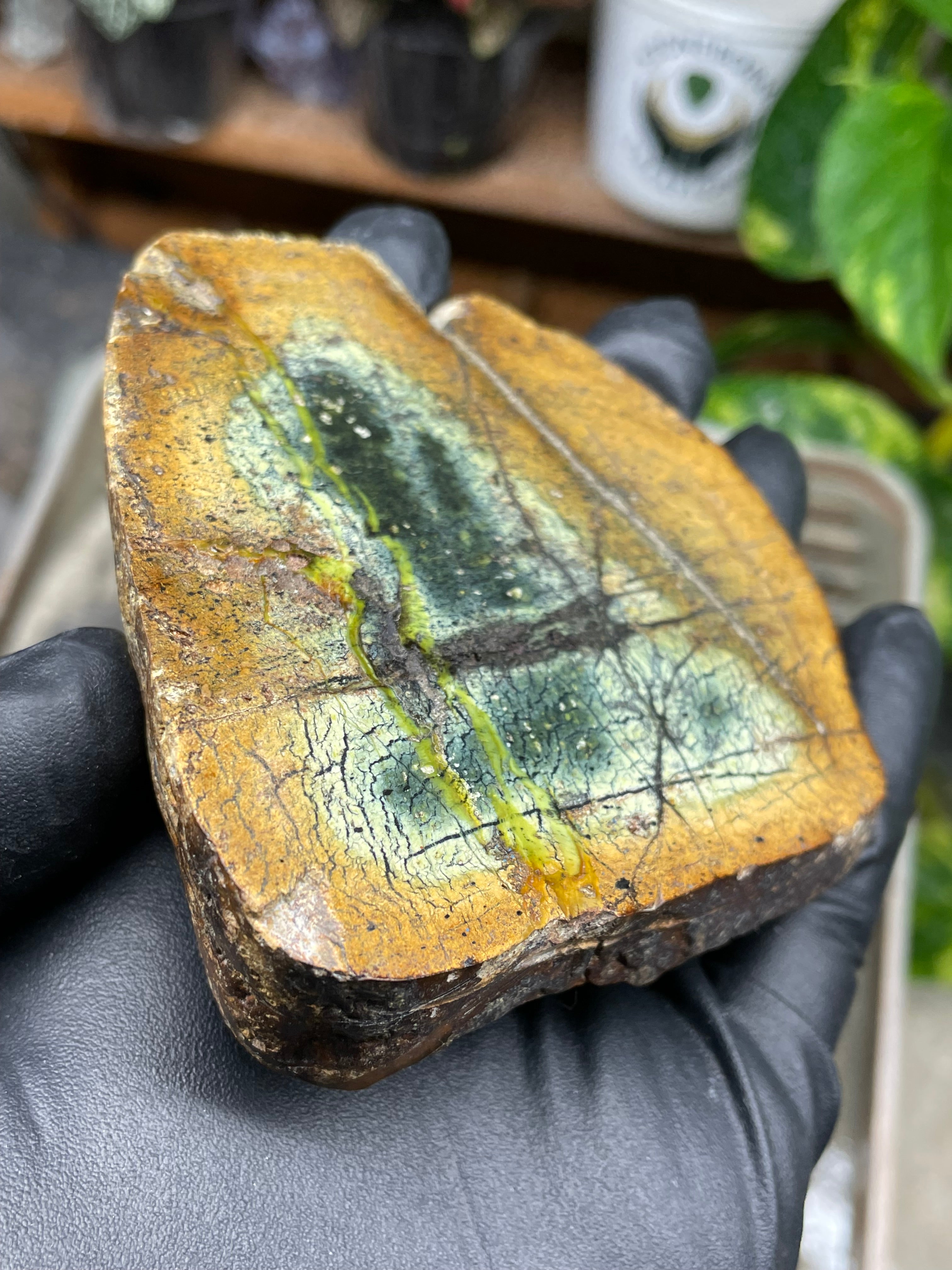 StoneBorn Creations Hand-Polished Vermont Serpentine Pair – River-Cut Matching Halves with Green Mineral Veins & Natural Fracture Patterns