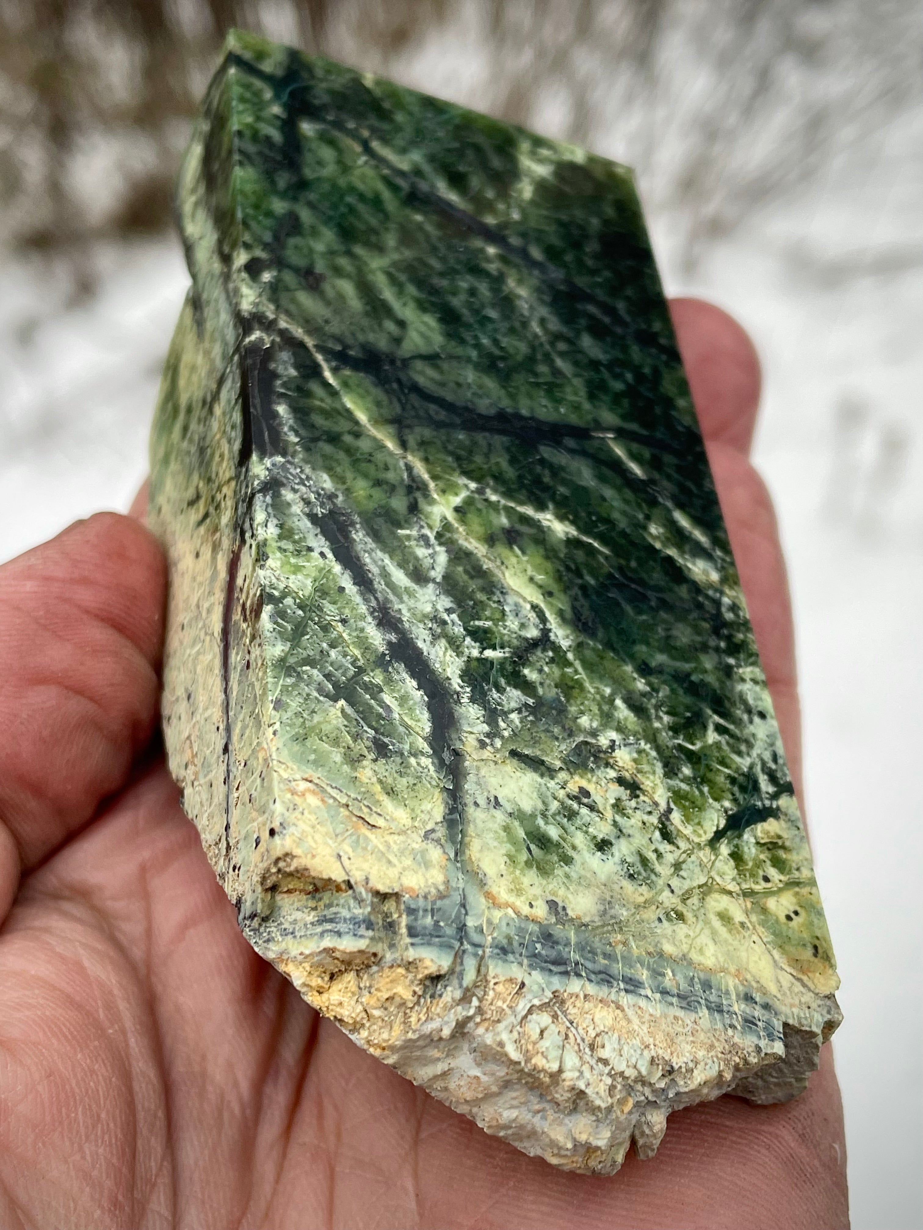 🌲 Polished Vermont Greenstone – Deep Veined Standing Stone (Hand-Collected & Polished)