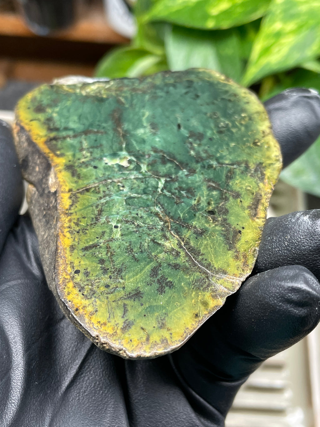StoneBorn Creations Hand-Polished Vermont Greenstone Pair – Deep Emerald Interior Freeform Halves with Natural Earthy Matrix