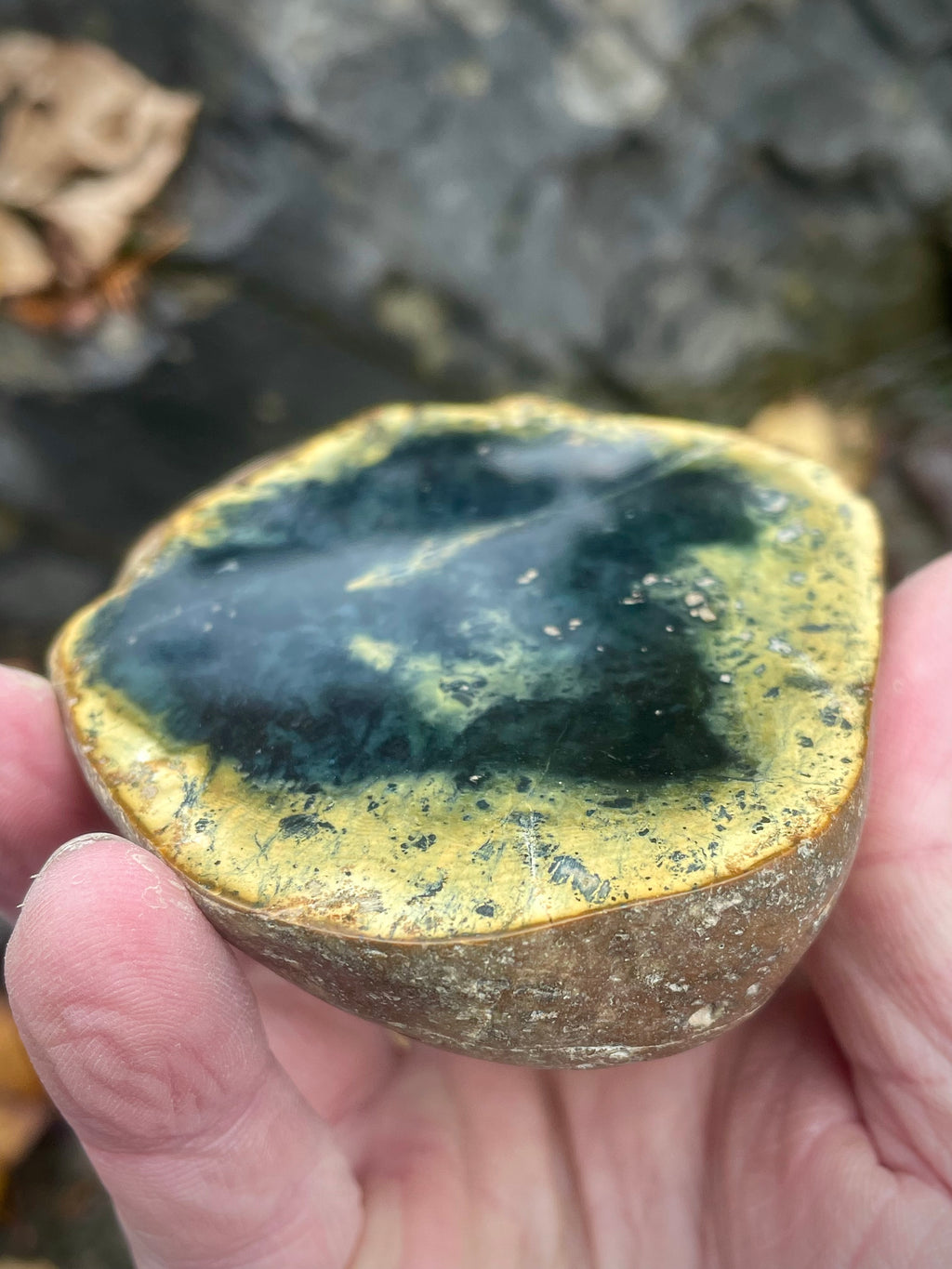 ✨Polished Vermont Greenstone – Golden Rim & Deep Teal Core