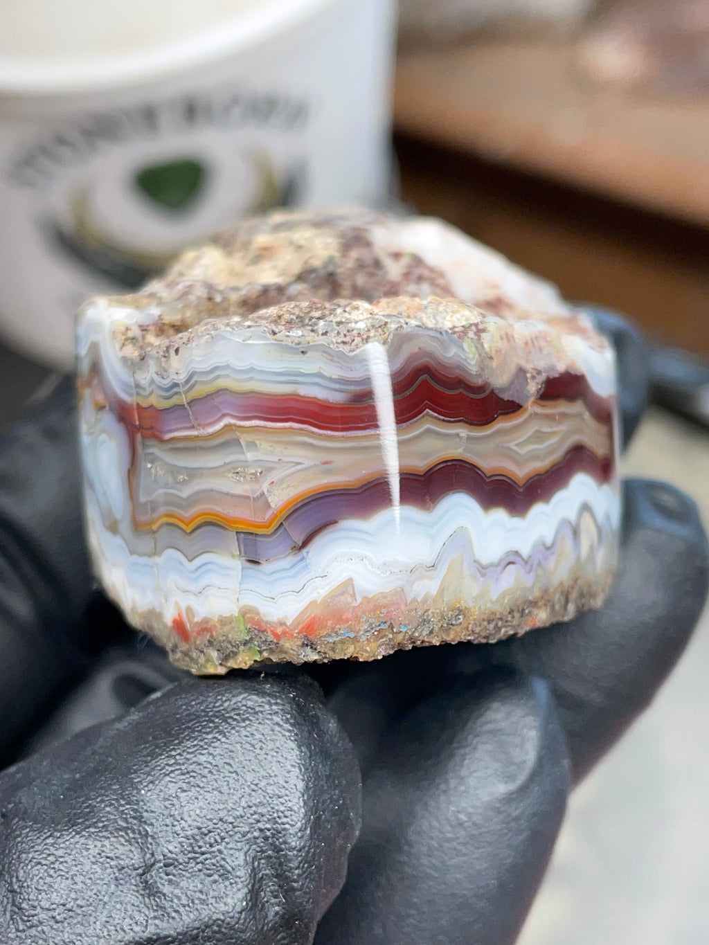 StoneBorn Creations – Hand-Collected & Hand-Polished Fortification Agate (Raw Top & Bottom)