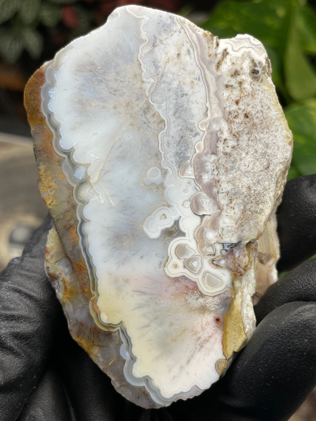 StoneBorn Creations Hand-Polished Agate Pair – Soft White Plume Details, Natural Banding & Raw Earthy Edges