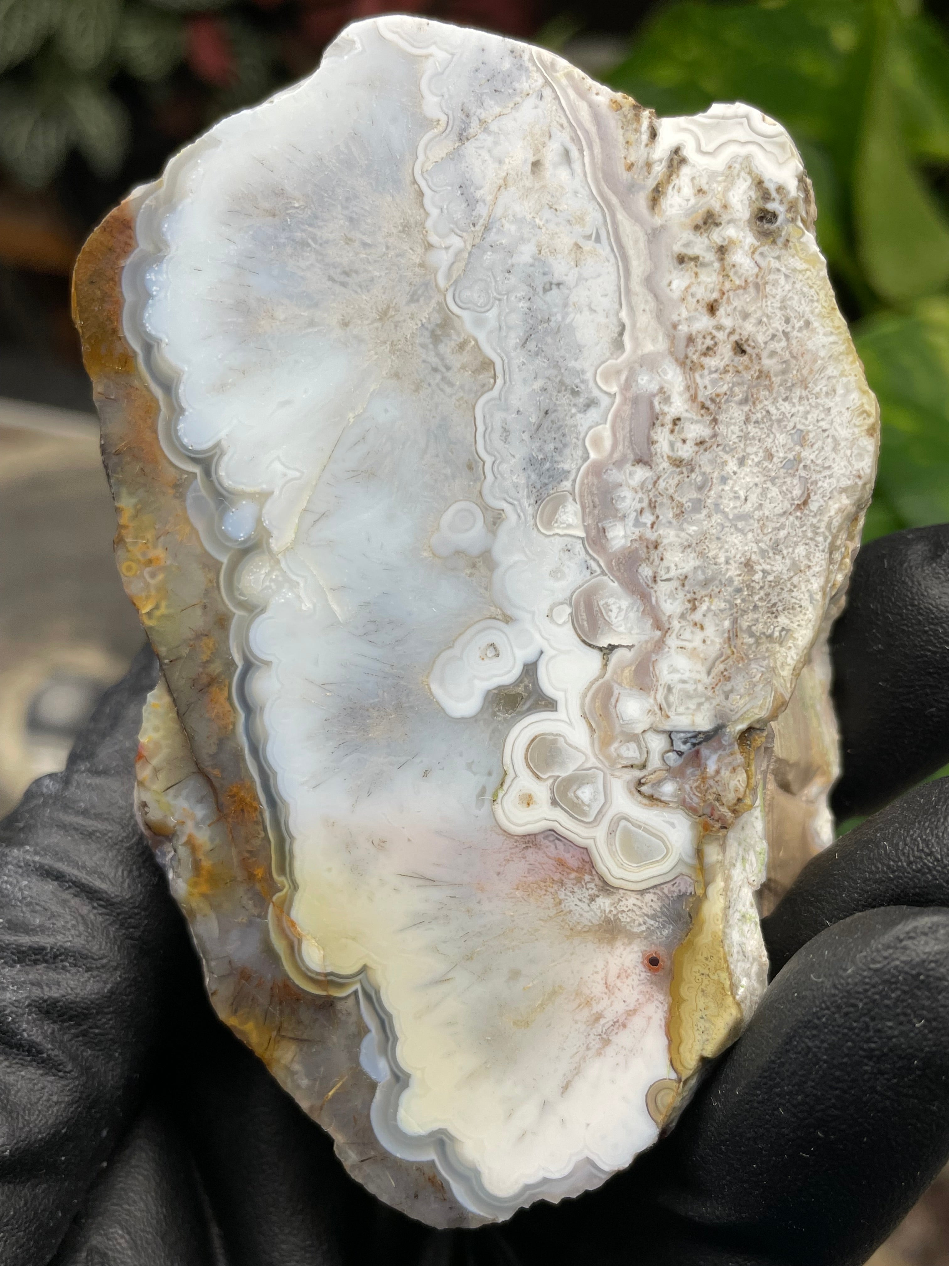 StoneBorn Creations Hand-Polished Agate Pair – Soft White Plume Details, Natural Banding & Raw Earthy Edges