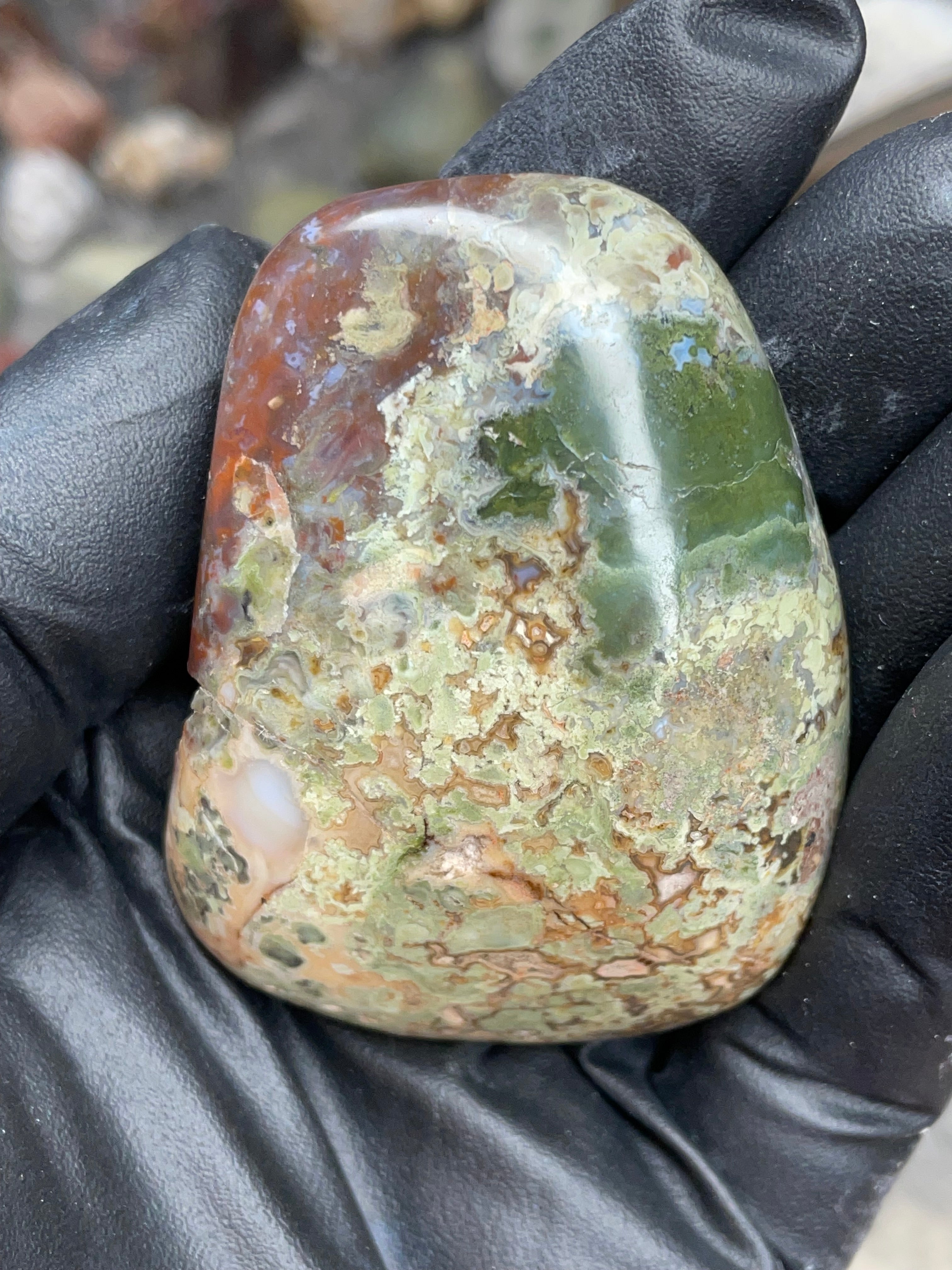 StoneBorn Creations Hand-Polished Multicolor Lace Agate with Natural Green and Rust Patterns – One-of-a-Kind Display Stone