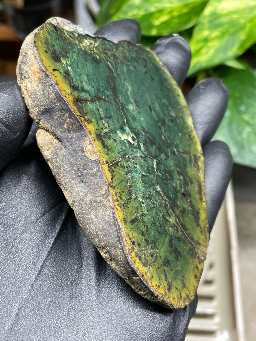 StoneBorn Creations Hand-Polished Vermont Greenstone Pair – Deep Emerald Interior Freeform Halves with Natural Earthy Matrix